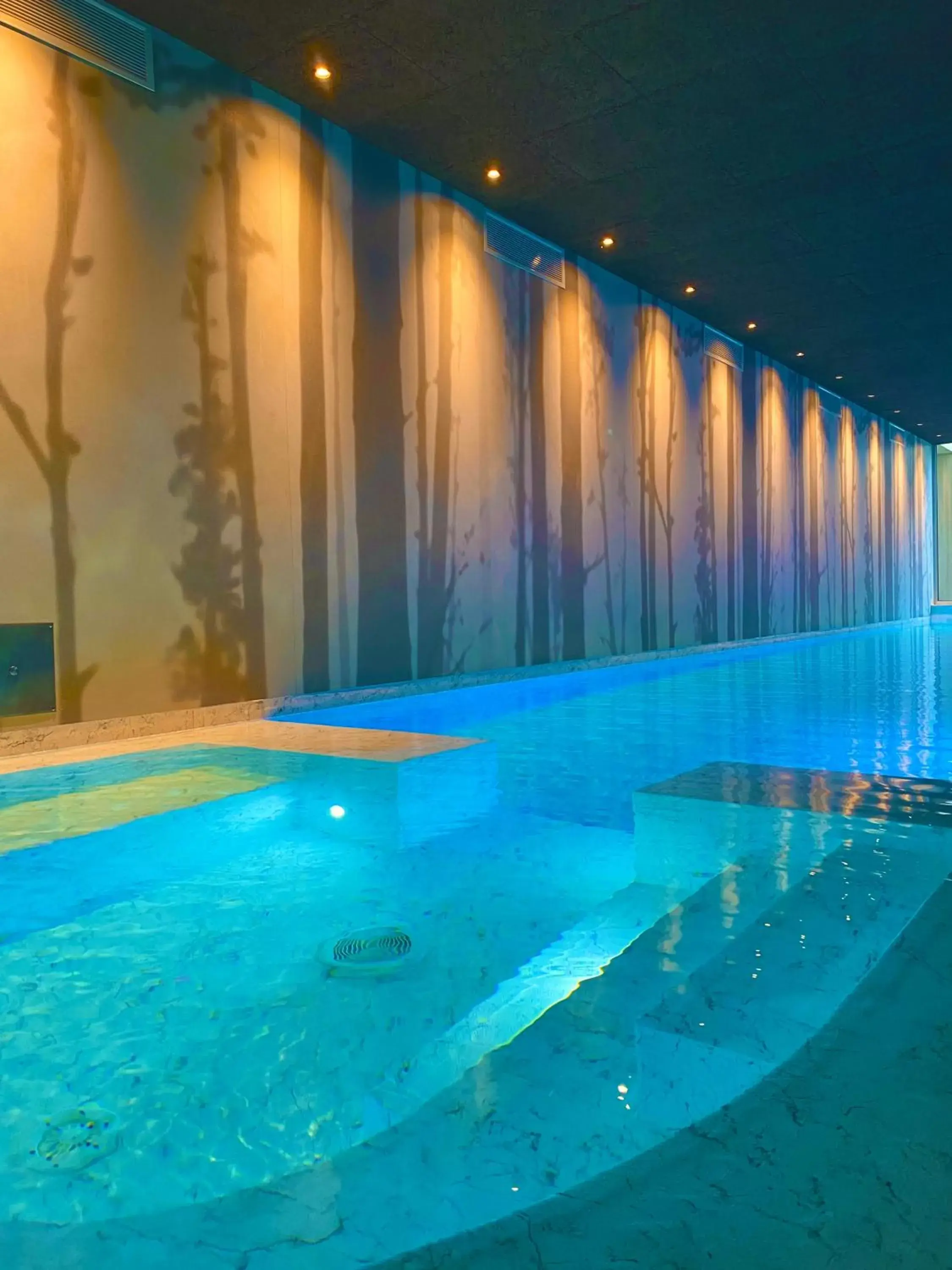 Spa and wellness centre/facilities, Swimming Pool in Natiia Relais - Adults Only