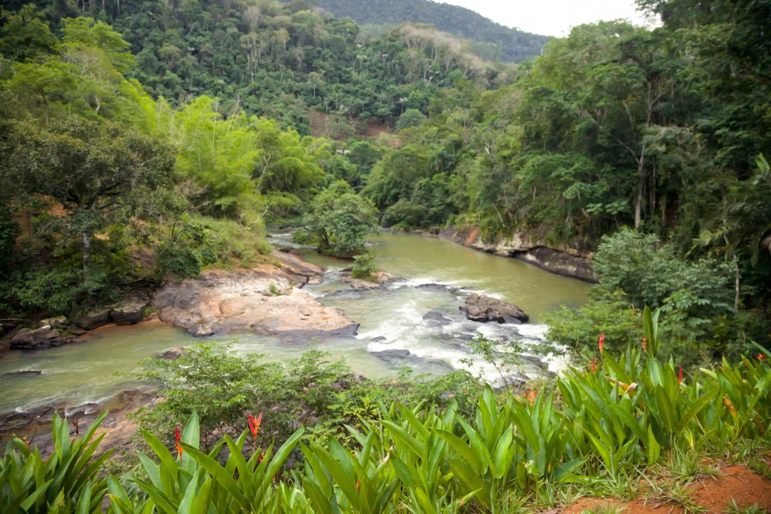 Natural landscape in Pousada Vila do Loro