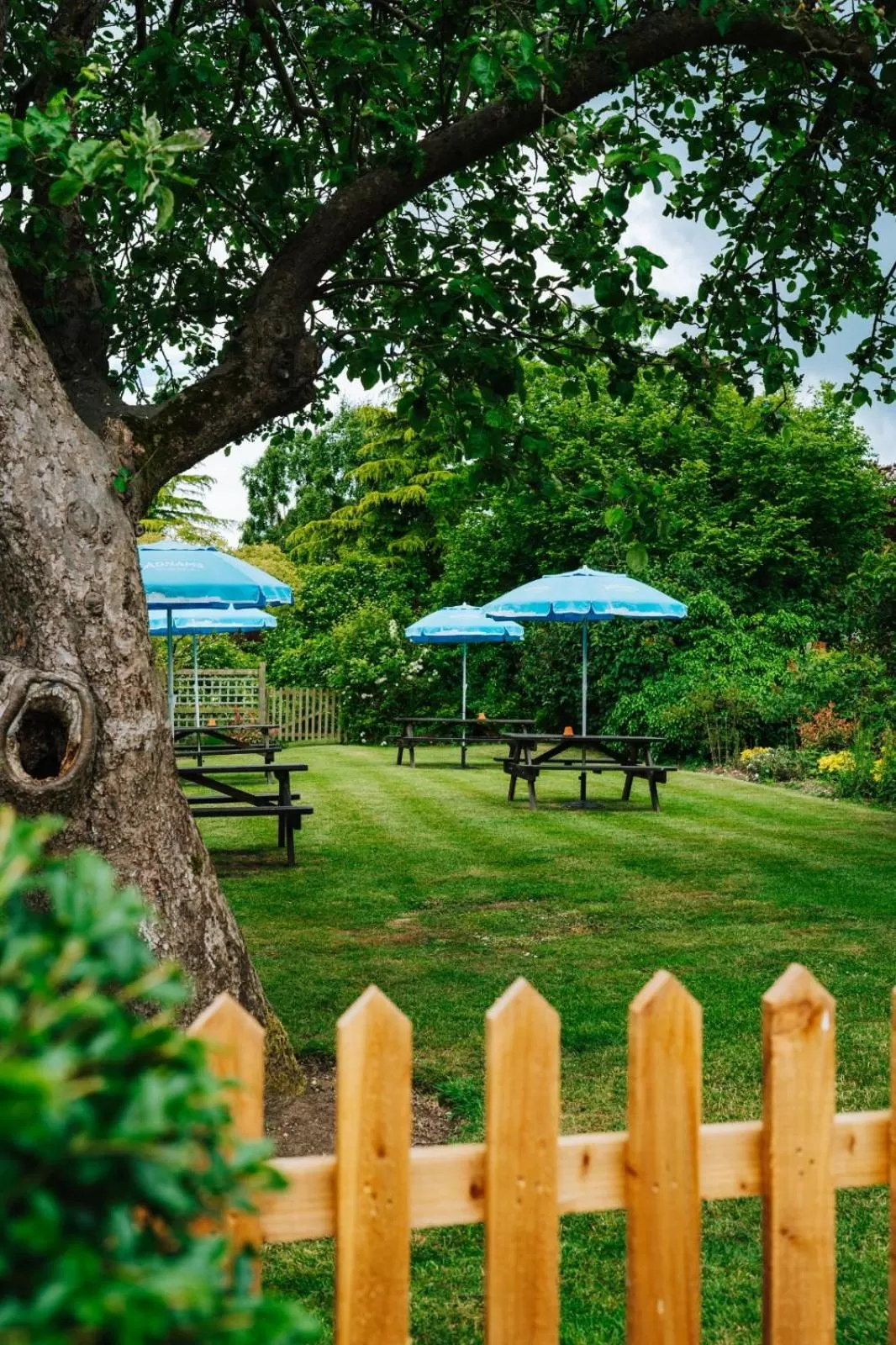 Garden in The Bull Inn