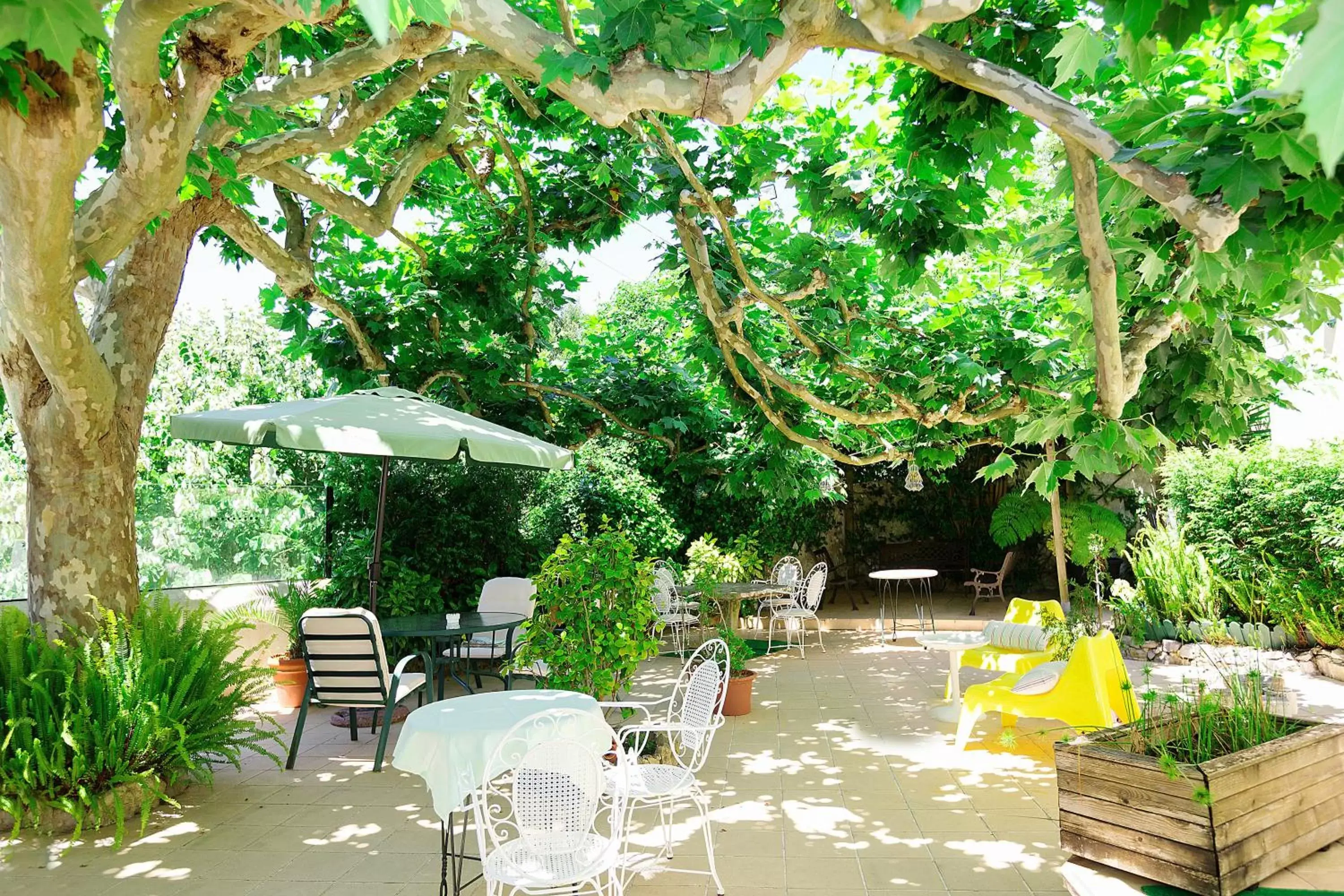 Garden in Hotel Nova Sintra