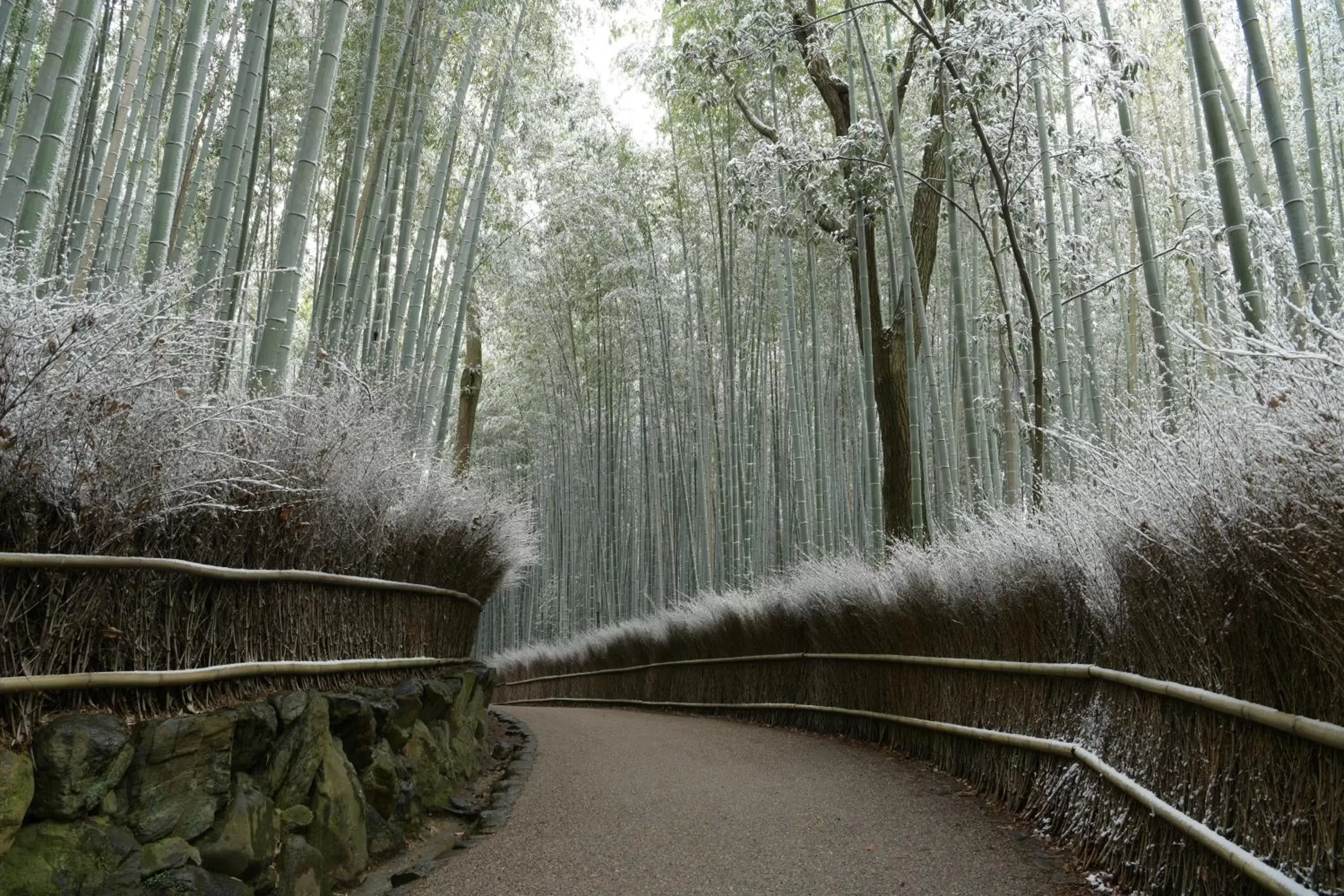 Nearby landmark in eph KYOTO