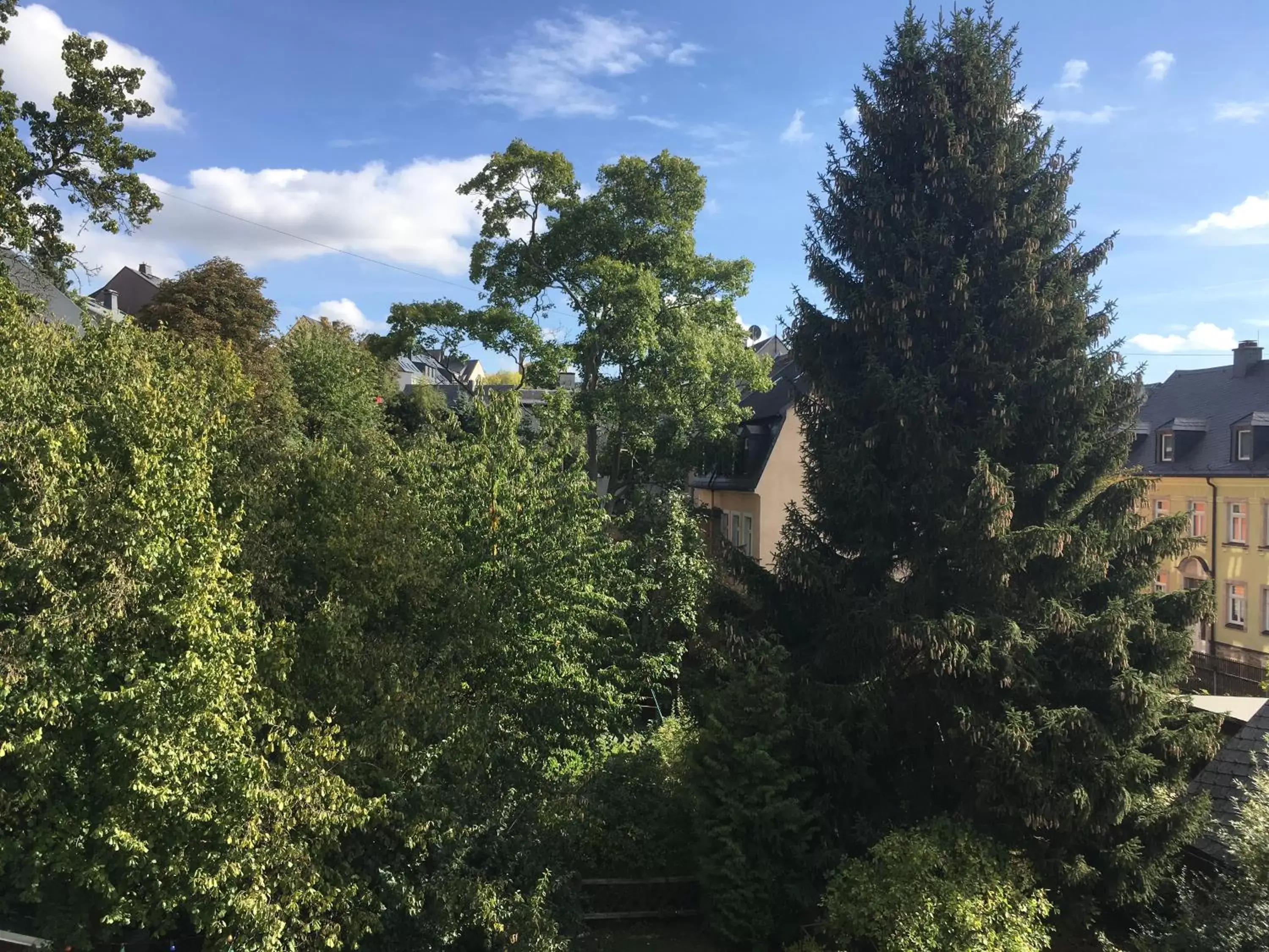 Garden in Hotel Alt Annaberg