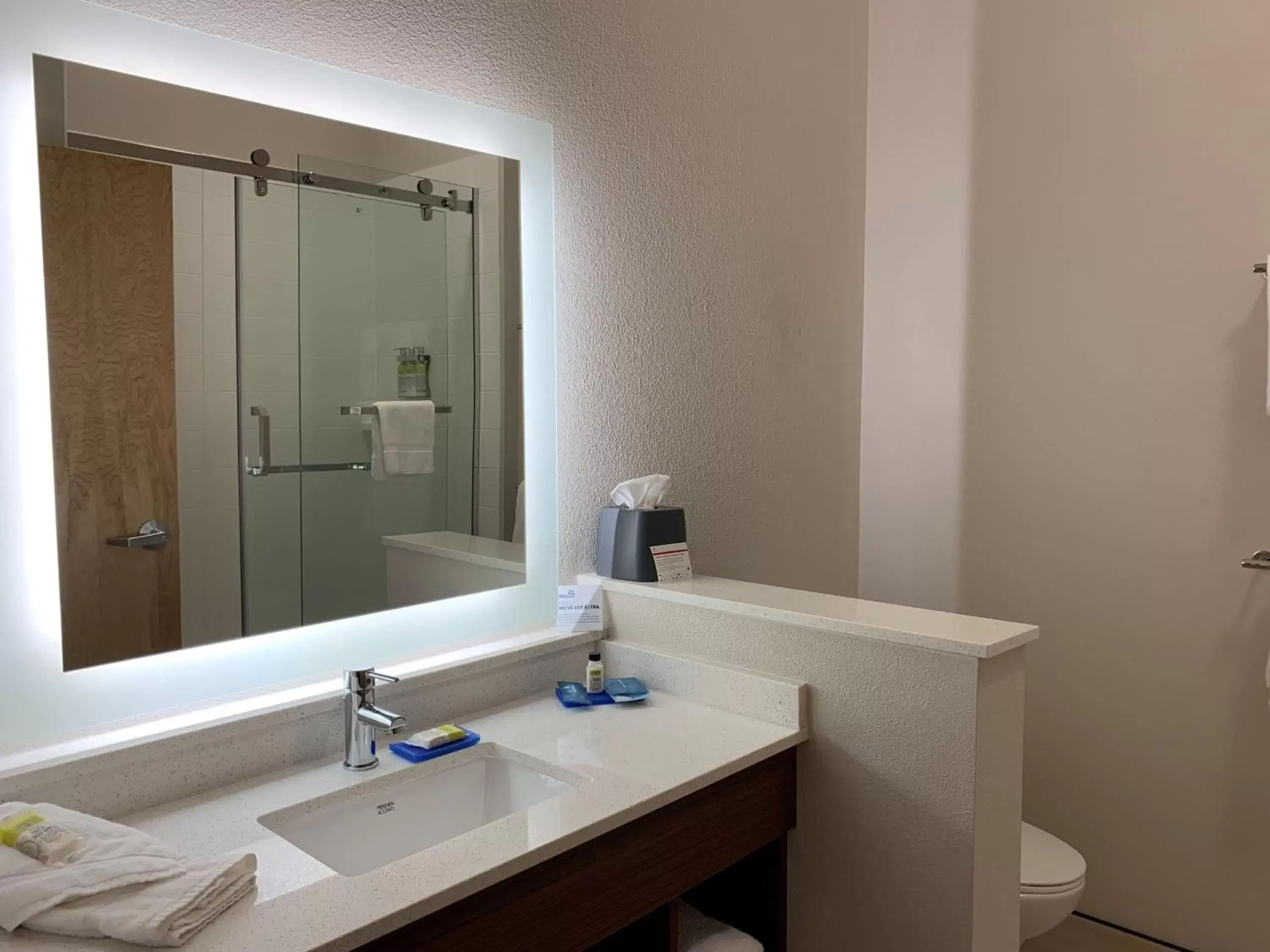 Bathroom in Holiday Inn Express & Suites Danville, an IHG Hotel