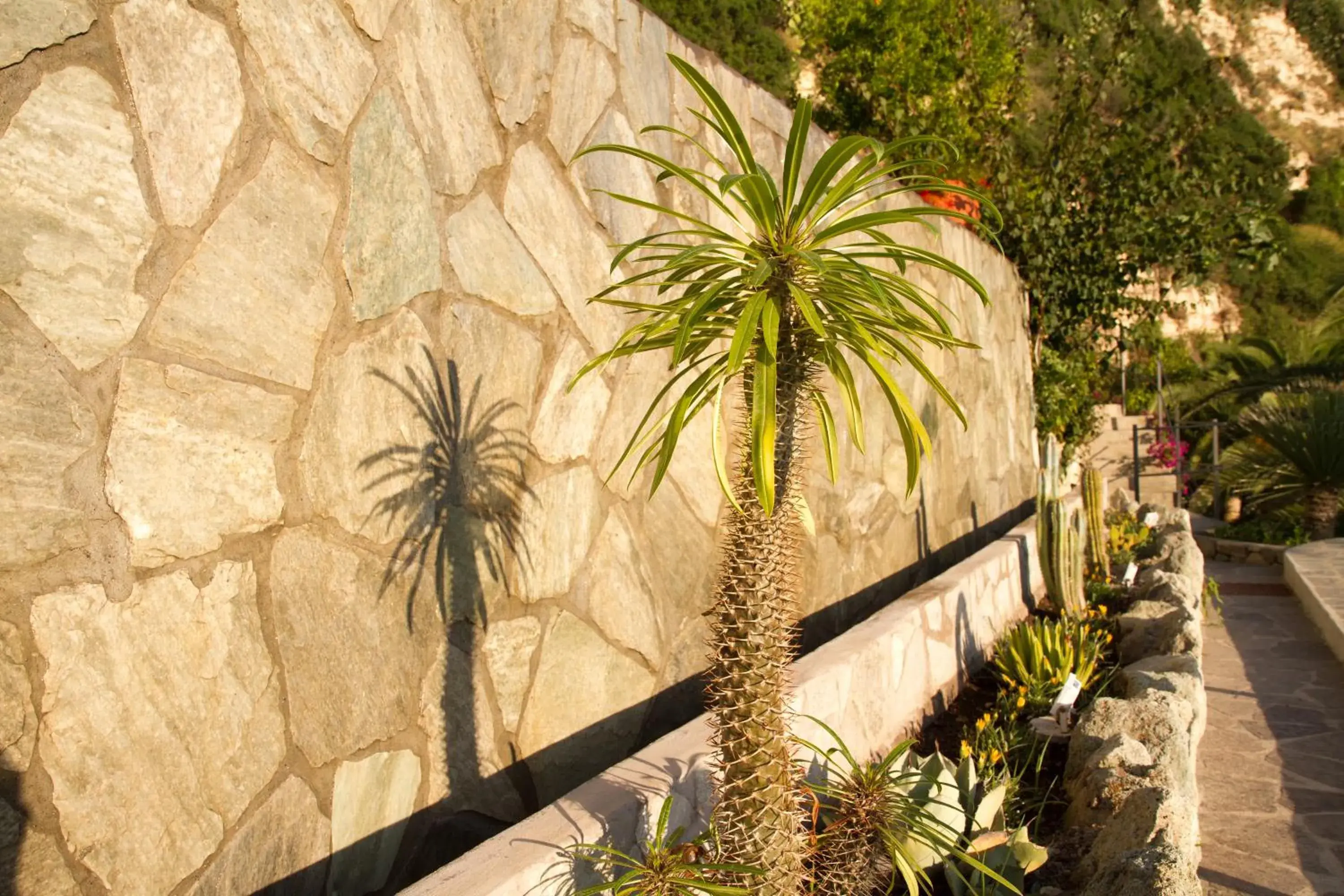 Garden view in Semiramis Hotel De Charme