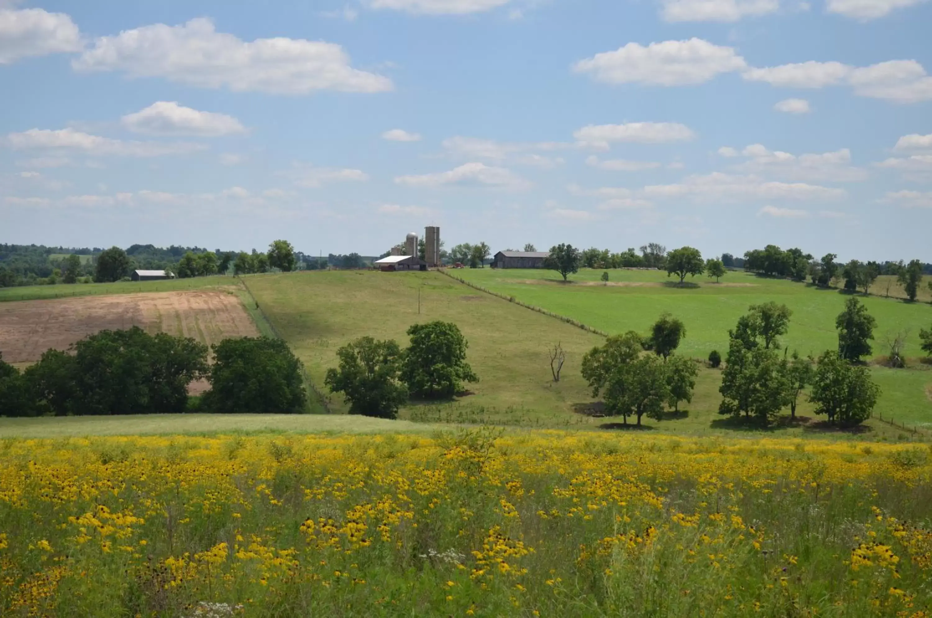 Natural landscape in Shaker Village of Pleasant Hill