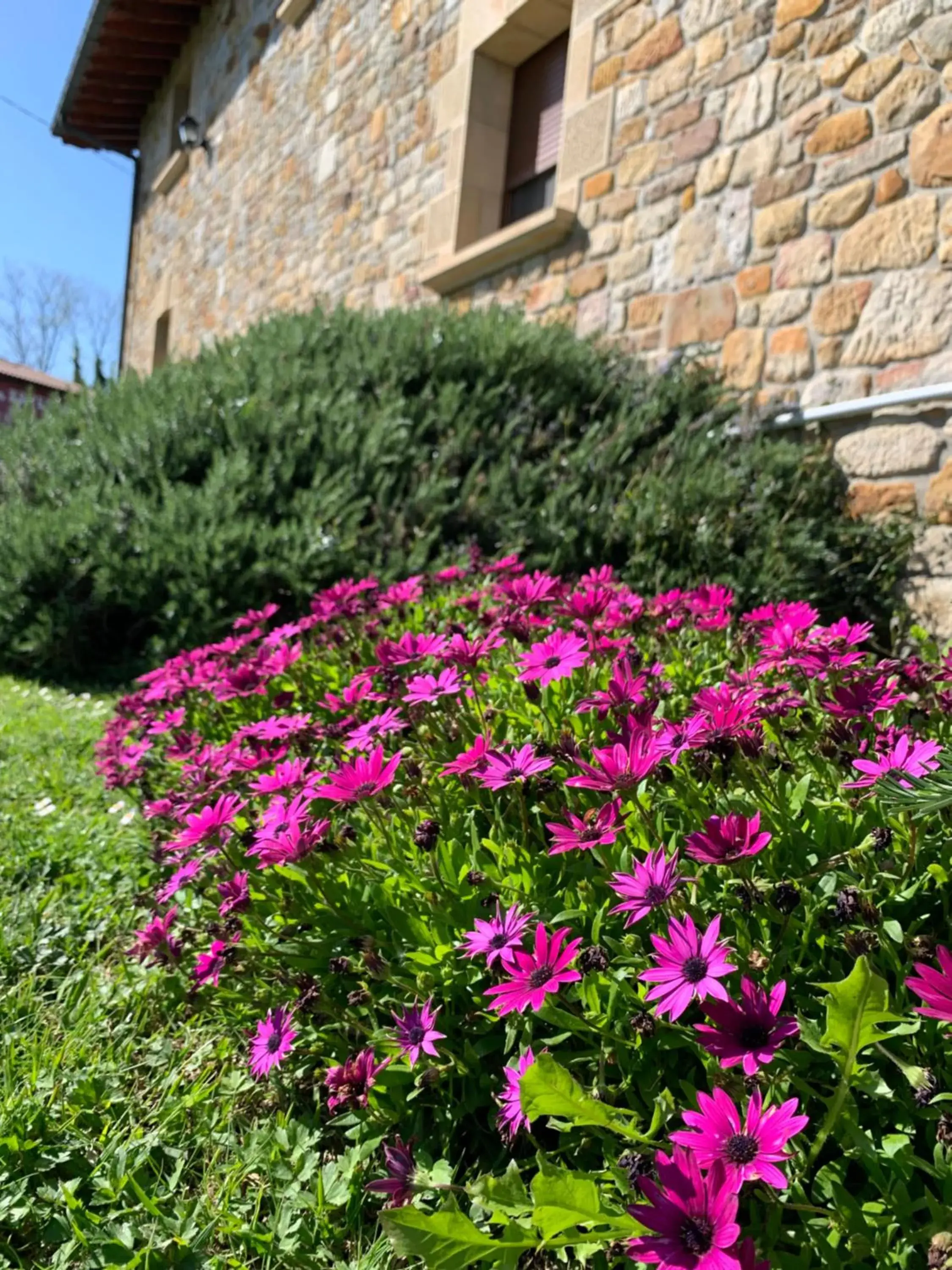 Spring, Garden in Hotel Artetxe