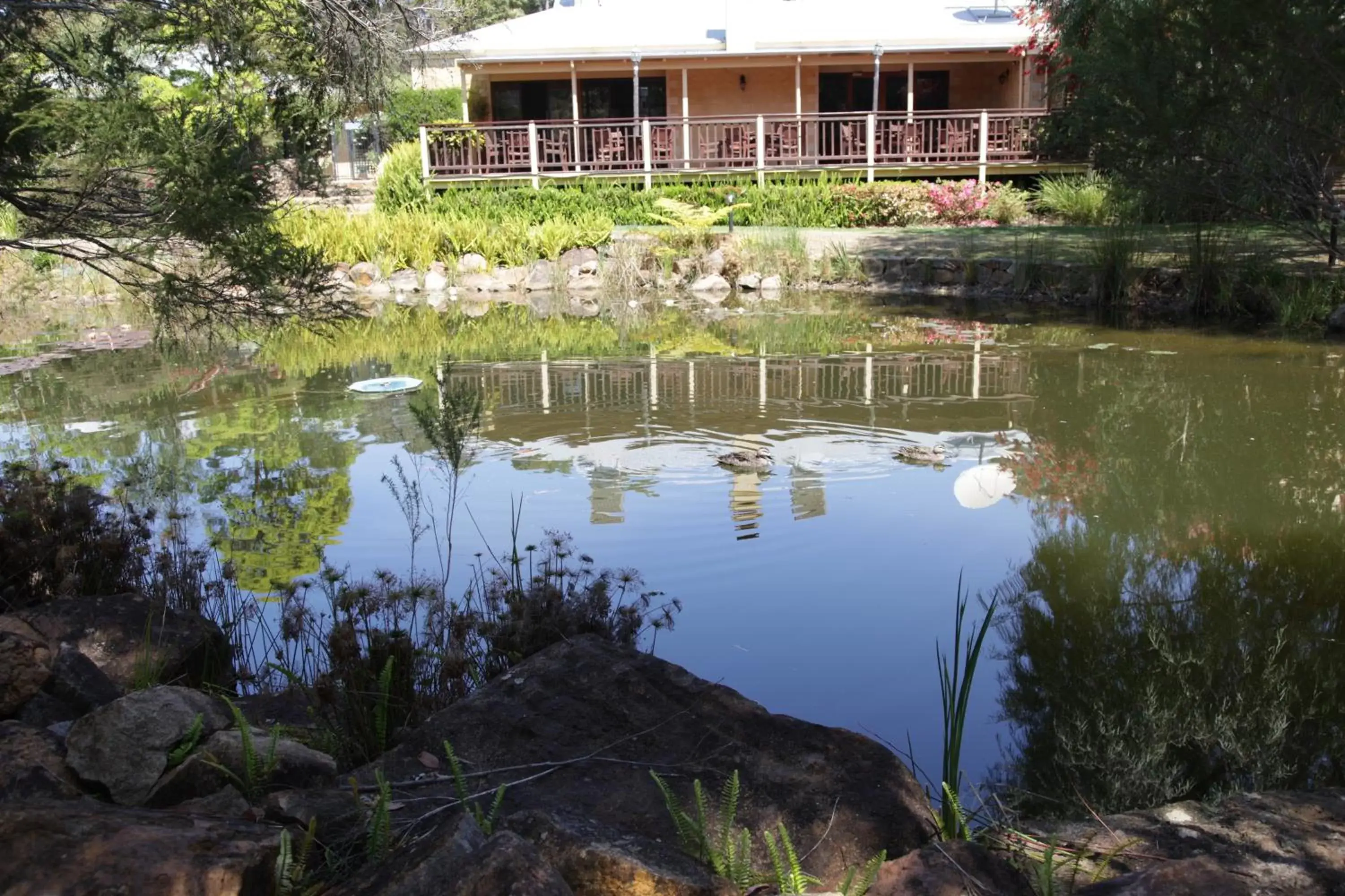 Area and facilities, Swimming Pool in Stay Margaret River