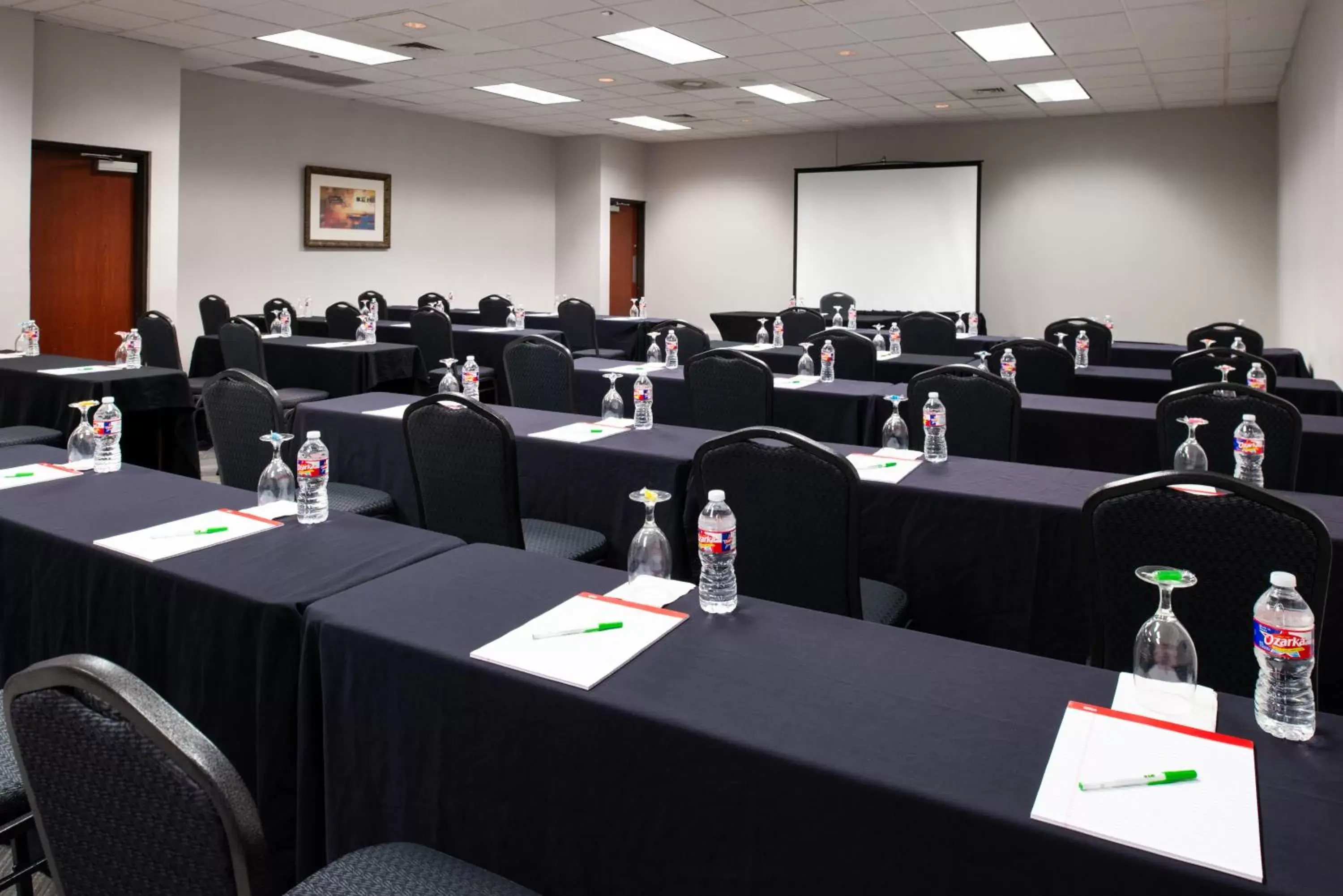 Meeting/conference room in Holiday Inn Hotel and Suites Beaumont-Plaza I-10 & Walden, an IHG Hotel