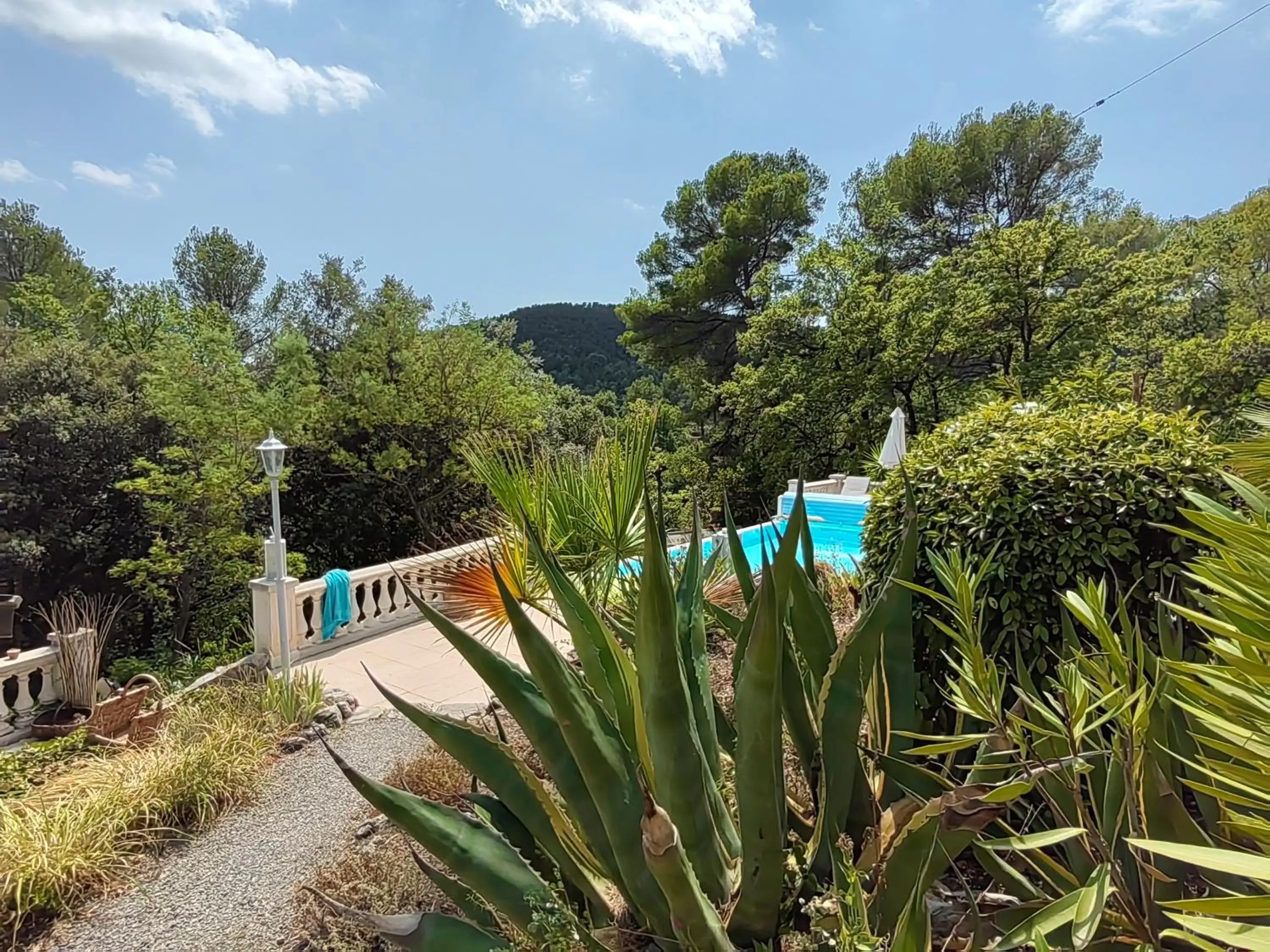 Natural landscape, Swimming Pool in Villa Bayarde