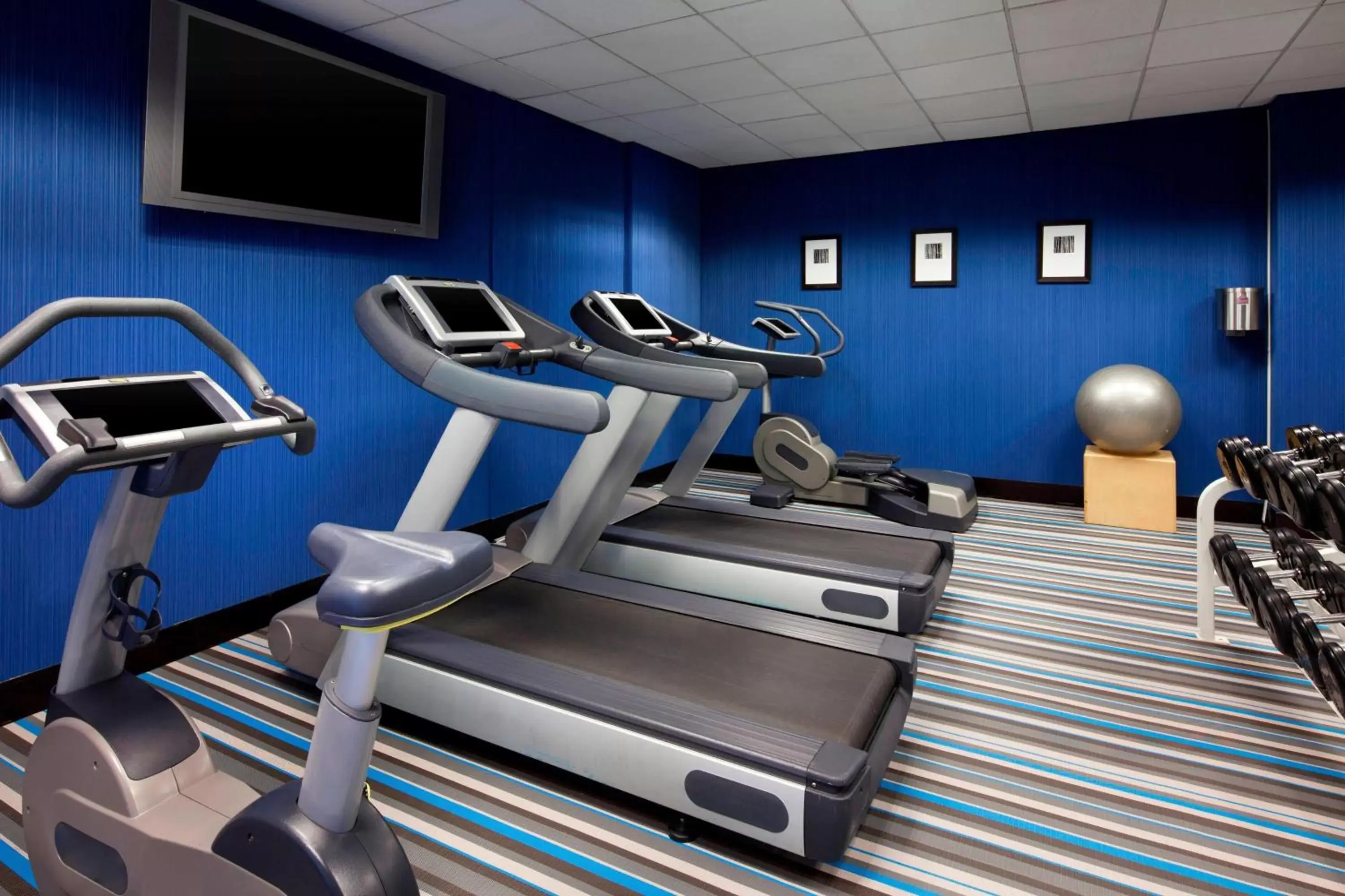 Fitness centre/facilities, Fitness Center/Facilities in Aloft Silicon Valley