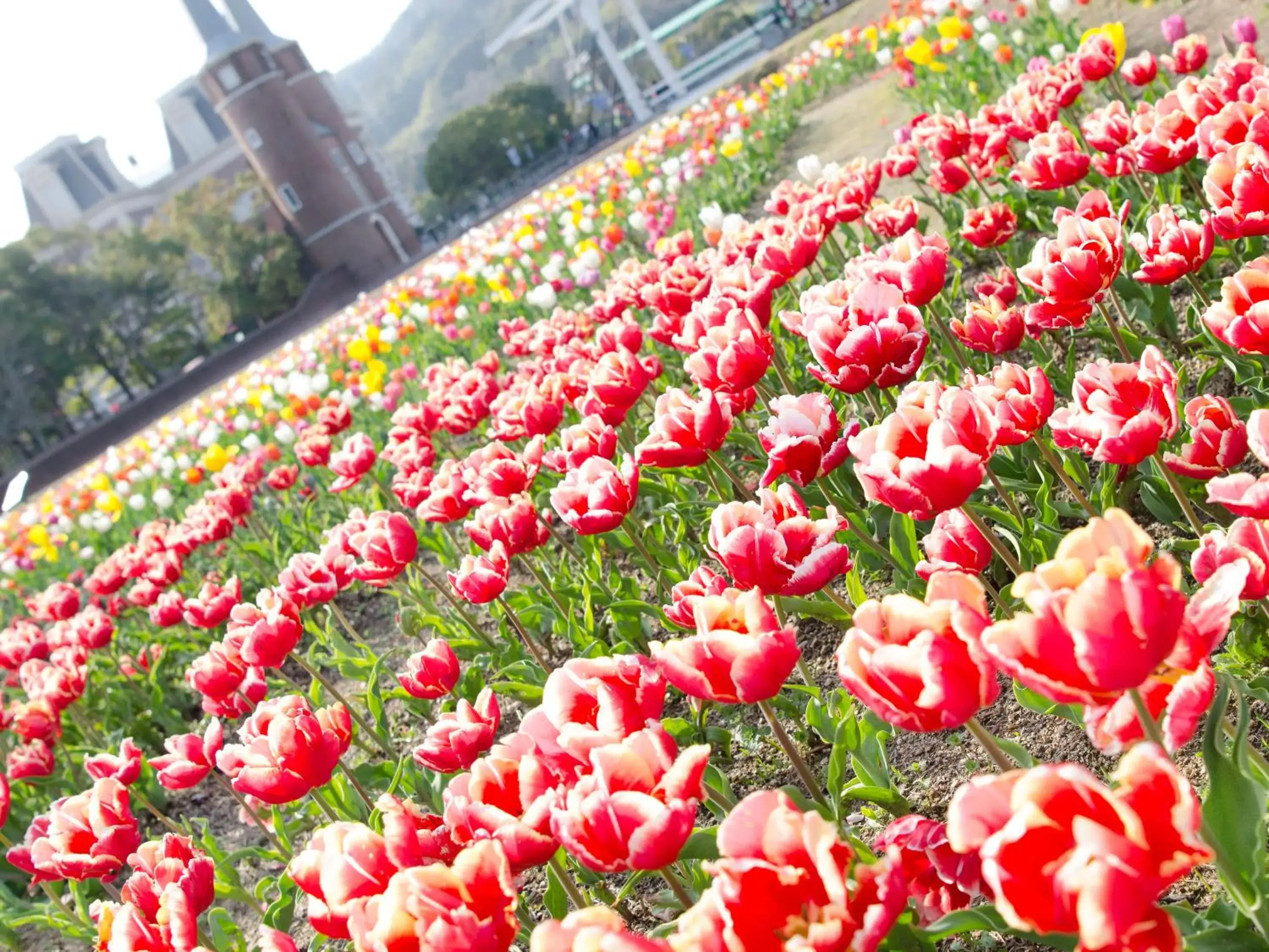 Nearby landmark in Watermark Hotel Nagasaki Huis Ten Bosch