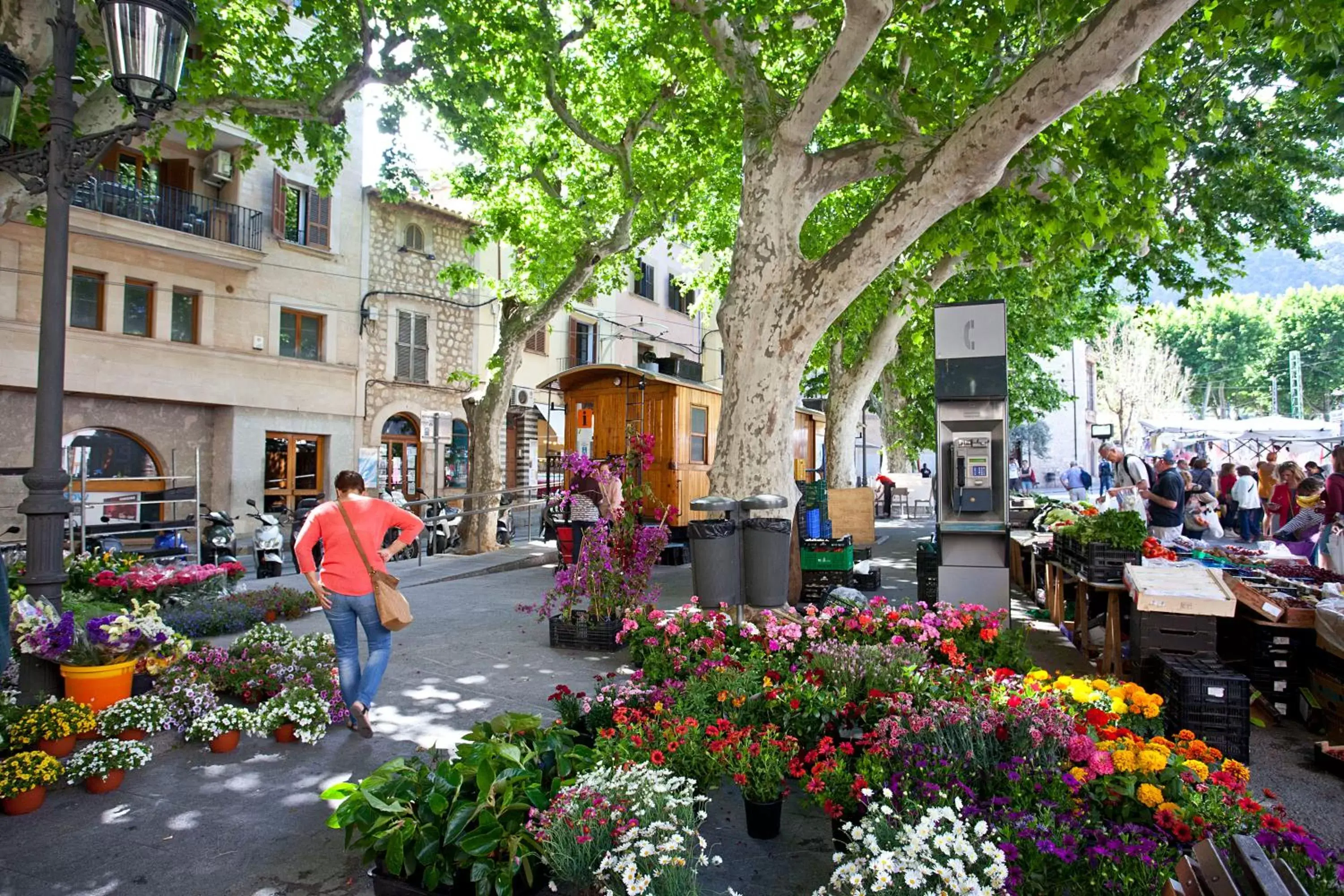 Can Moragues de Soller