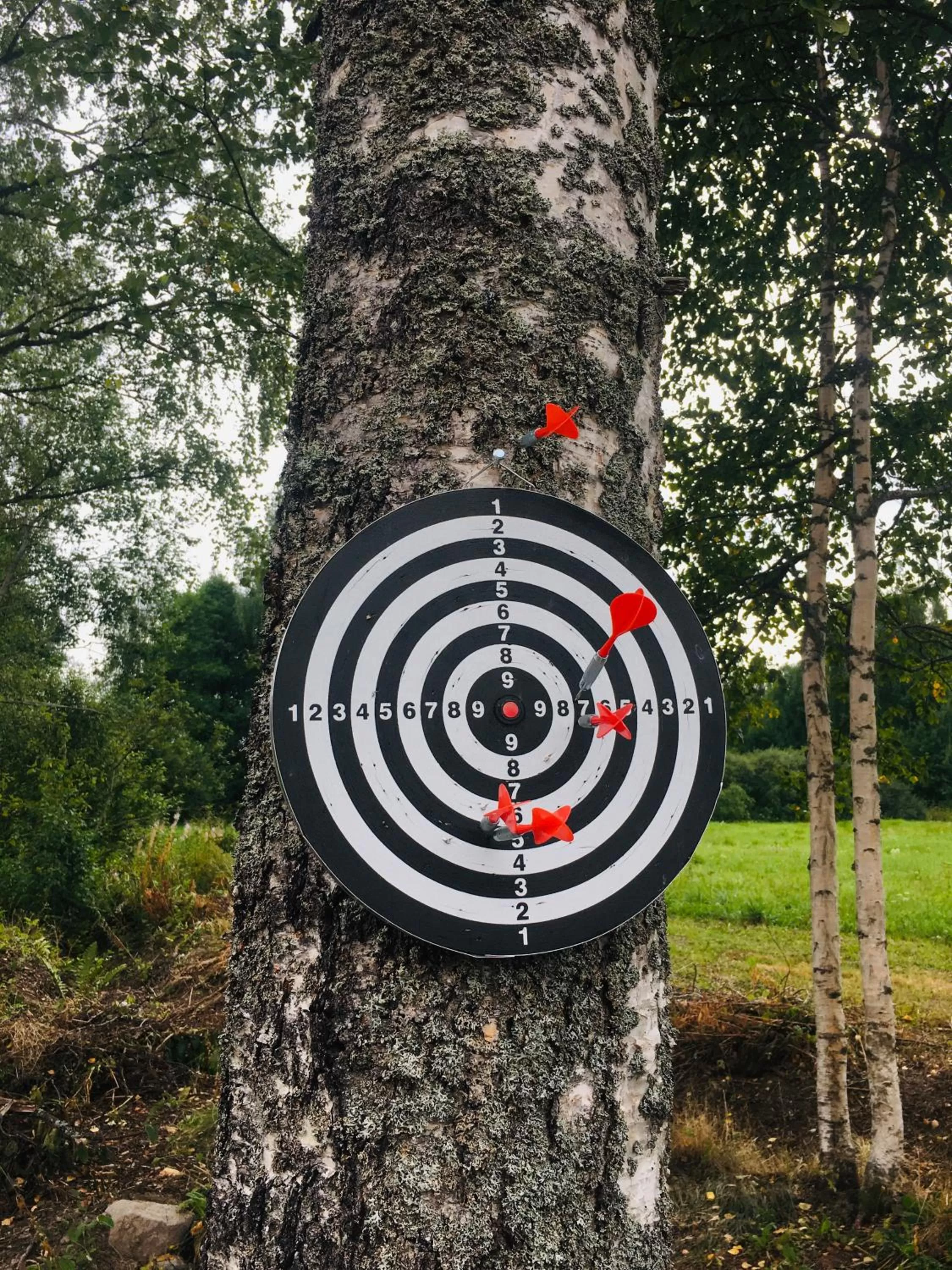 Darts in Hotel Villa Molnby