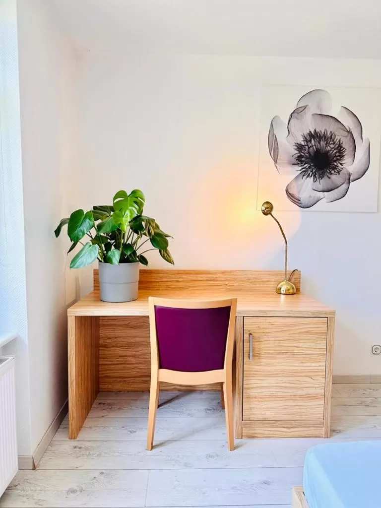 Saale, Marktplatz Zentrum, Apartmenthaus am Dom von Plant Room