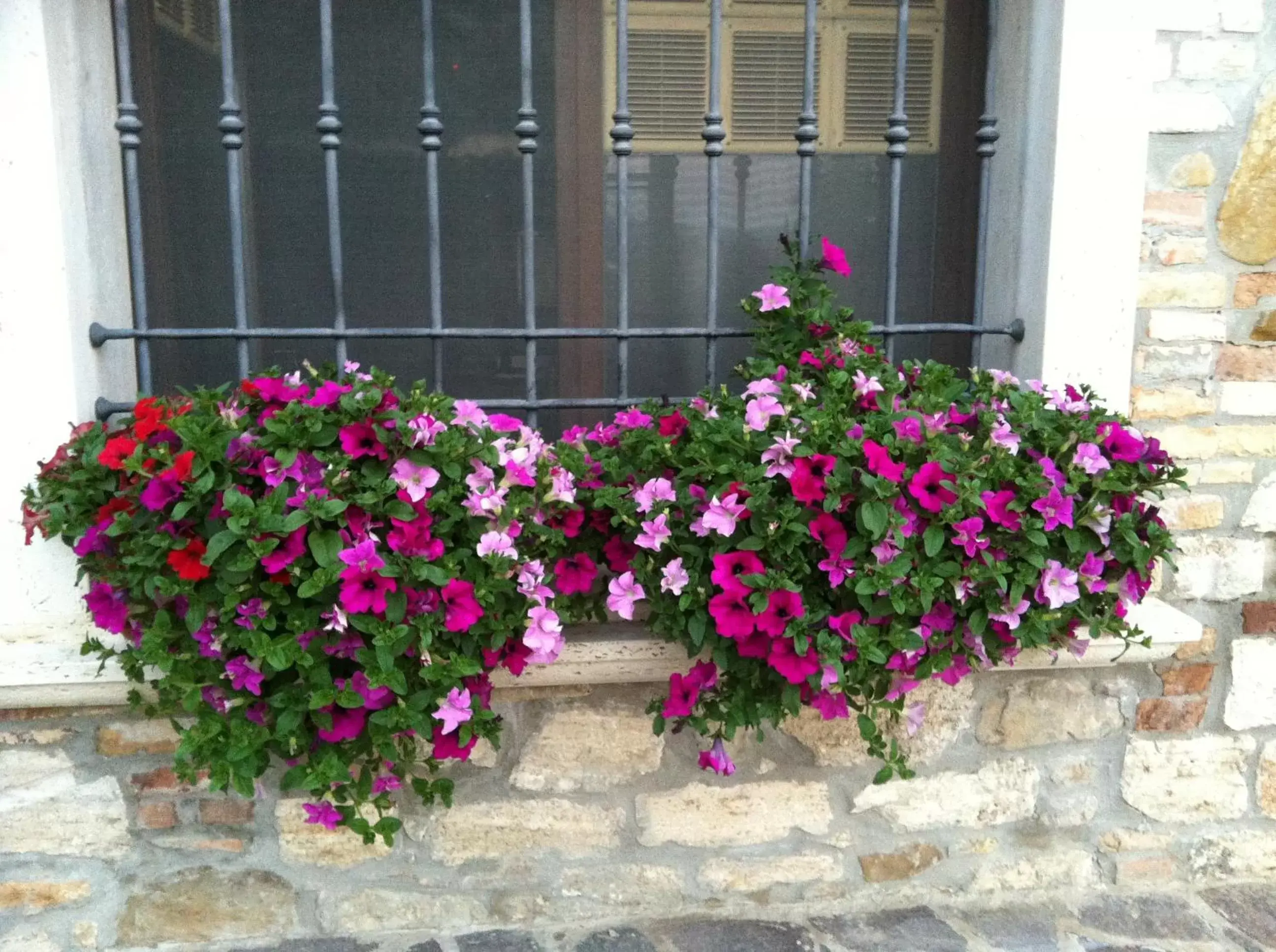 Facade/entrance in Agriturismo La Cantina