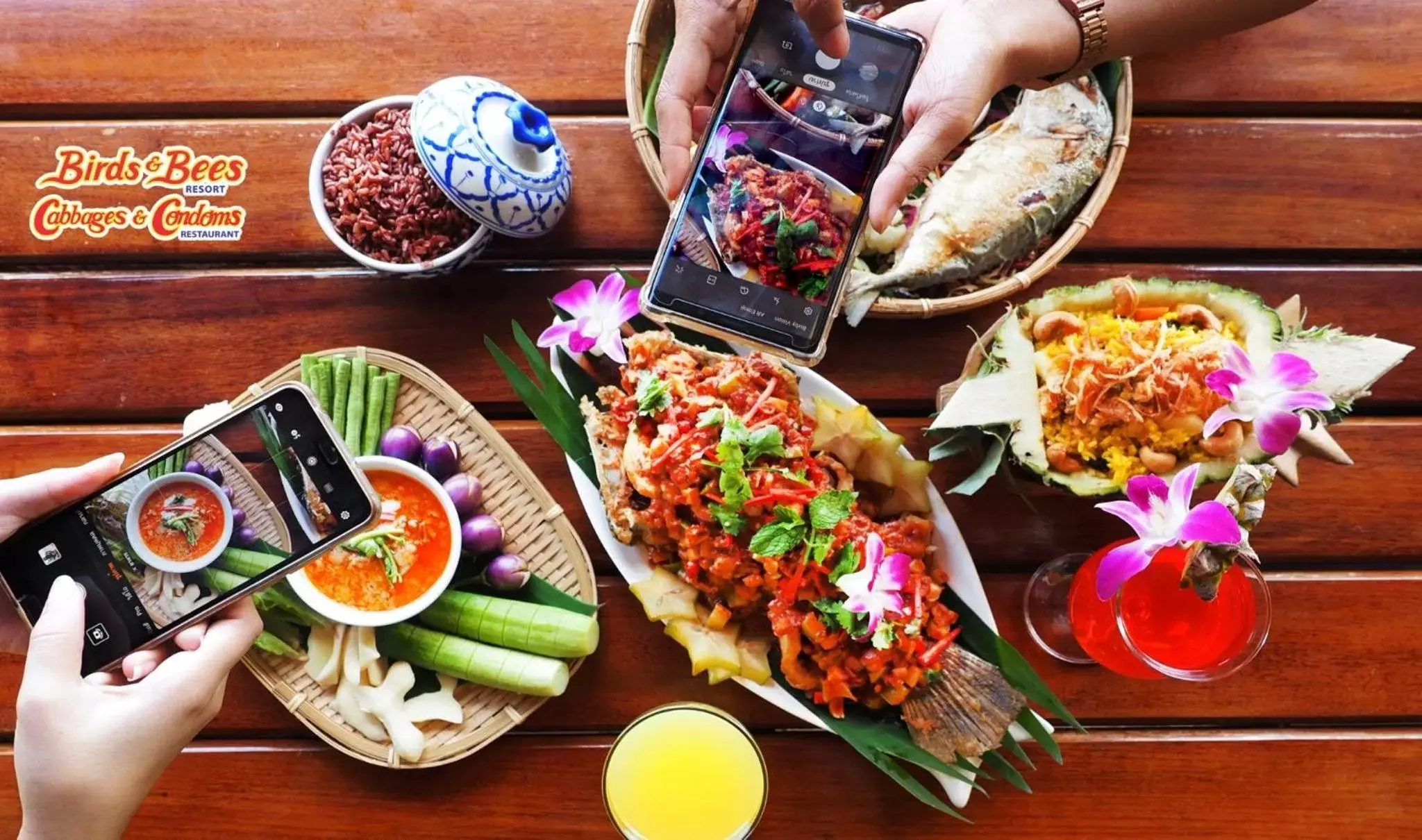 Food in Birds and Bees Resort Food in Birds and Bees Resort