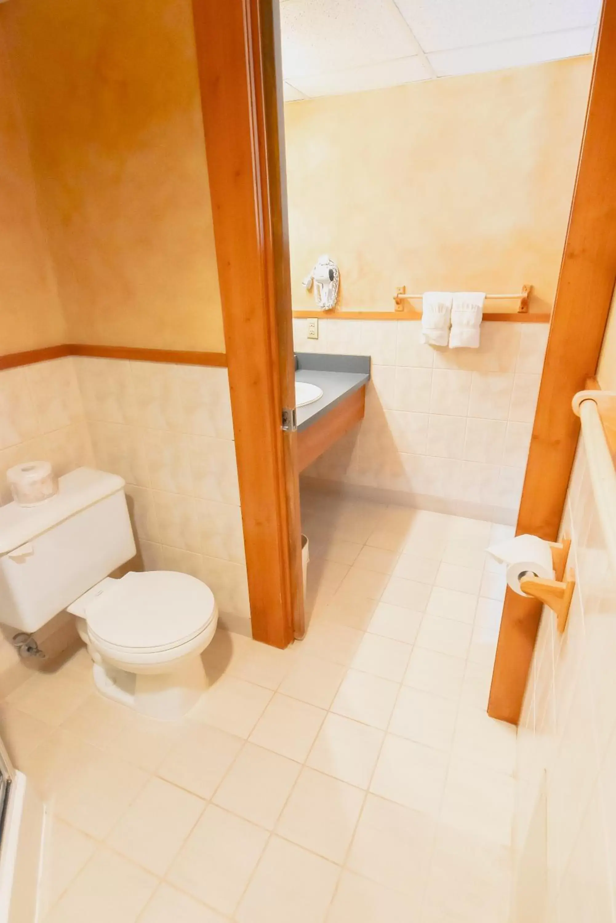 Bathroom in Canad Inns Destination Centre Fort Garry