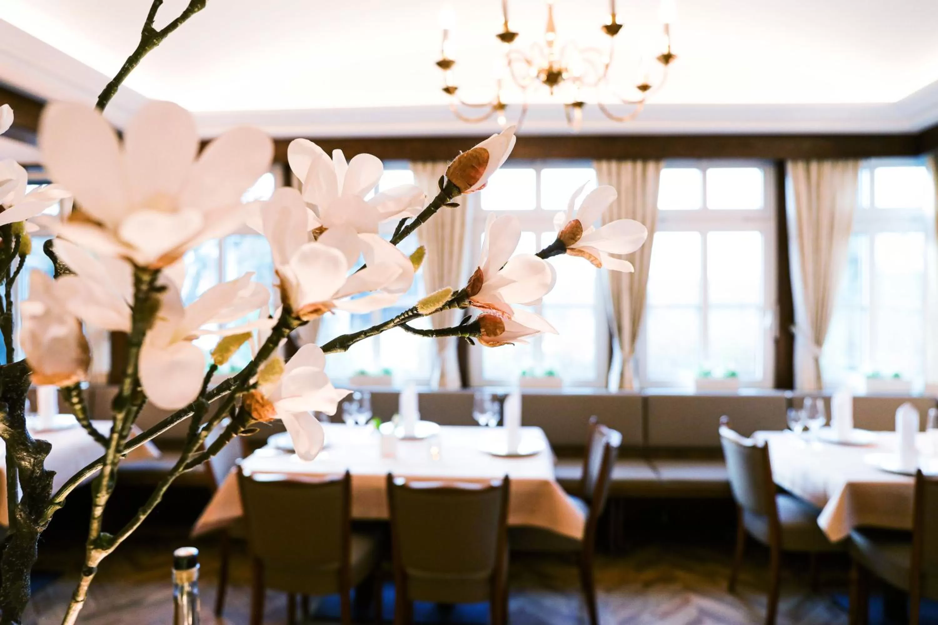 Restaurant/Places to Eat in Landhotel Bonsmann's Hof