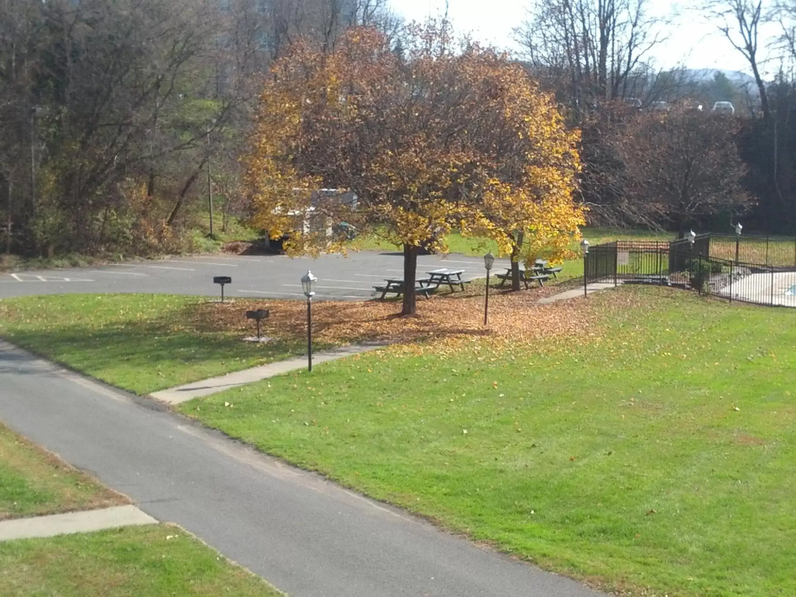 Natural landscape, Garden in Fairbanks Inn