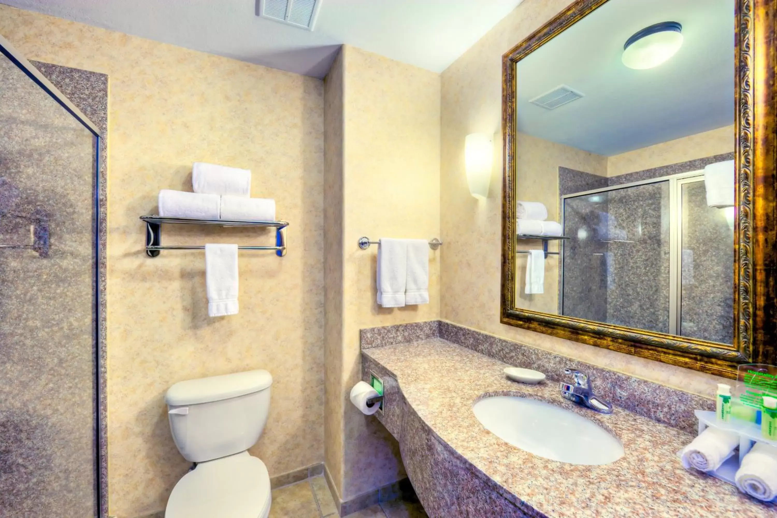 Bathroom in Holiday Inn Express and Suites Granbury, an IHG Hotel