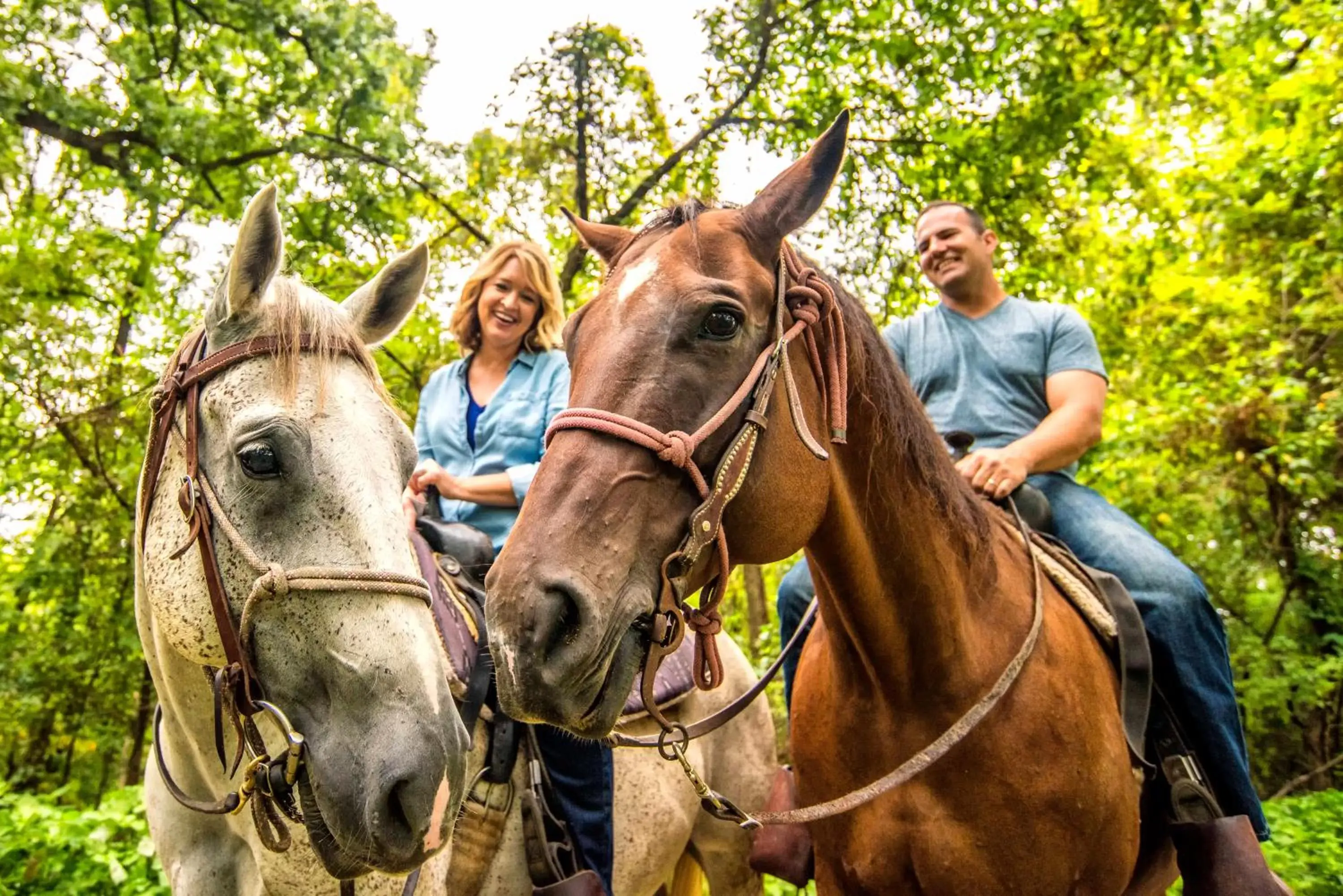 Horse-riding, Horseback Riding in Margaritaville Lake Resort Lake of the Ozarks