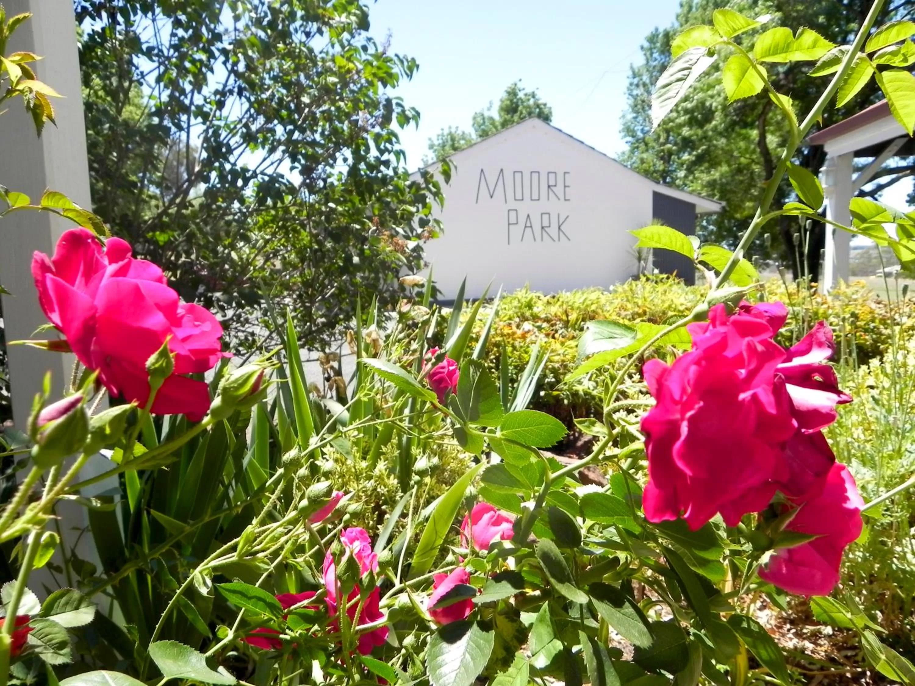 Garden in Moore Park Inn