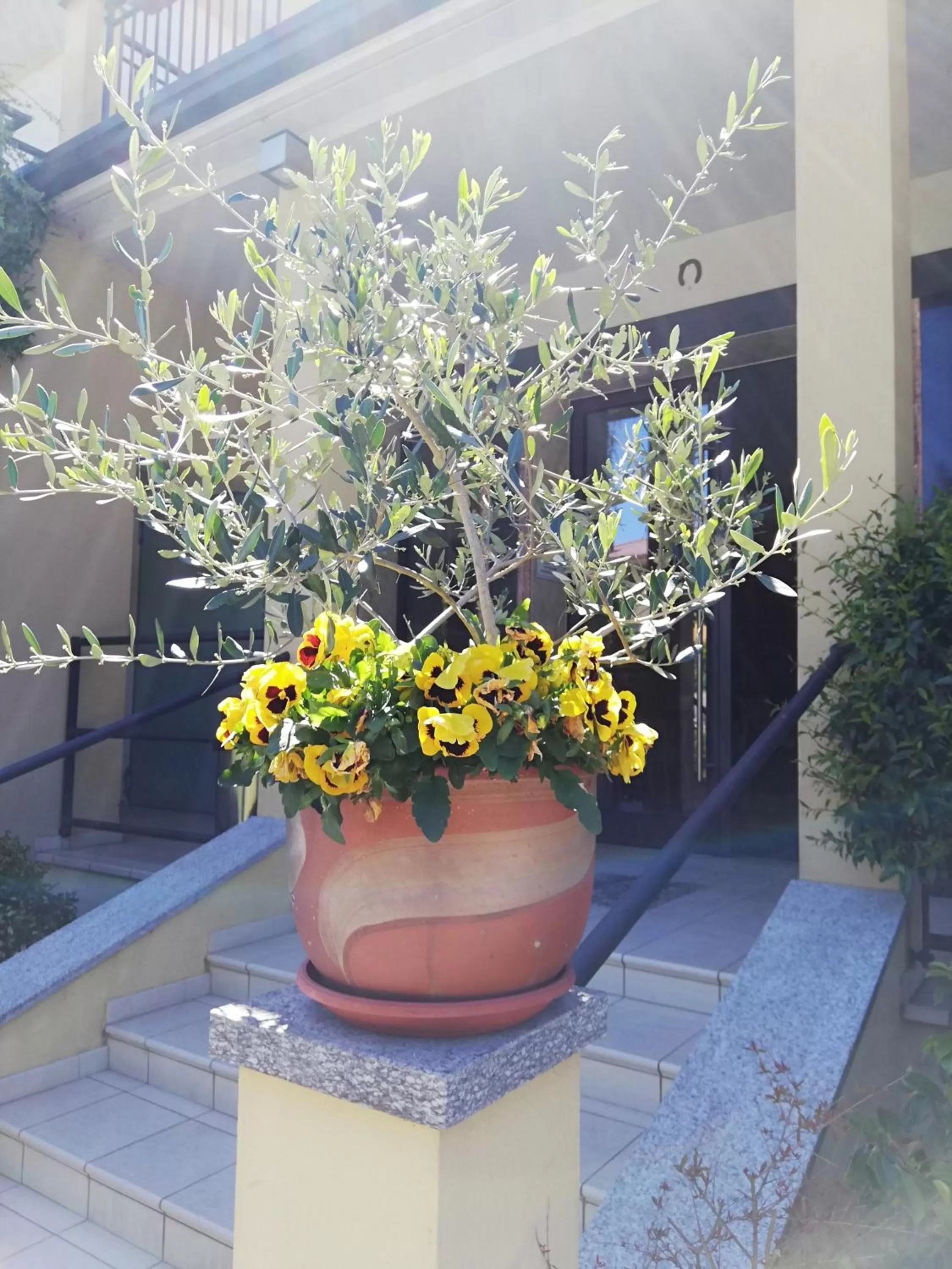 Floor plan in Hotel Fioroni