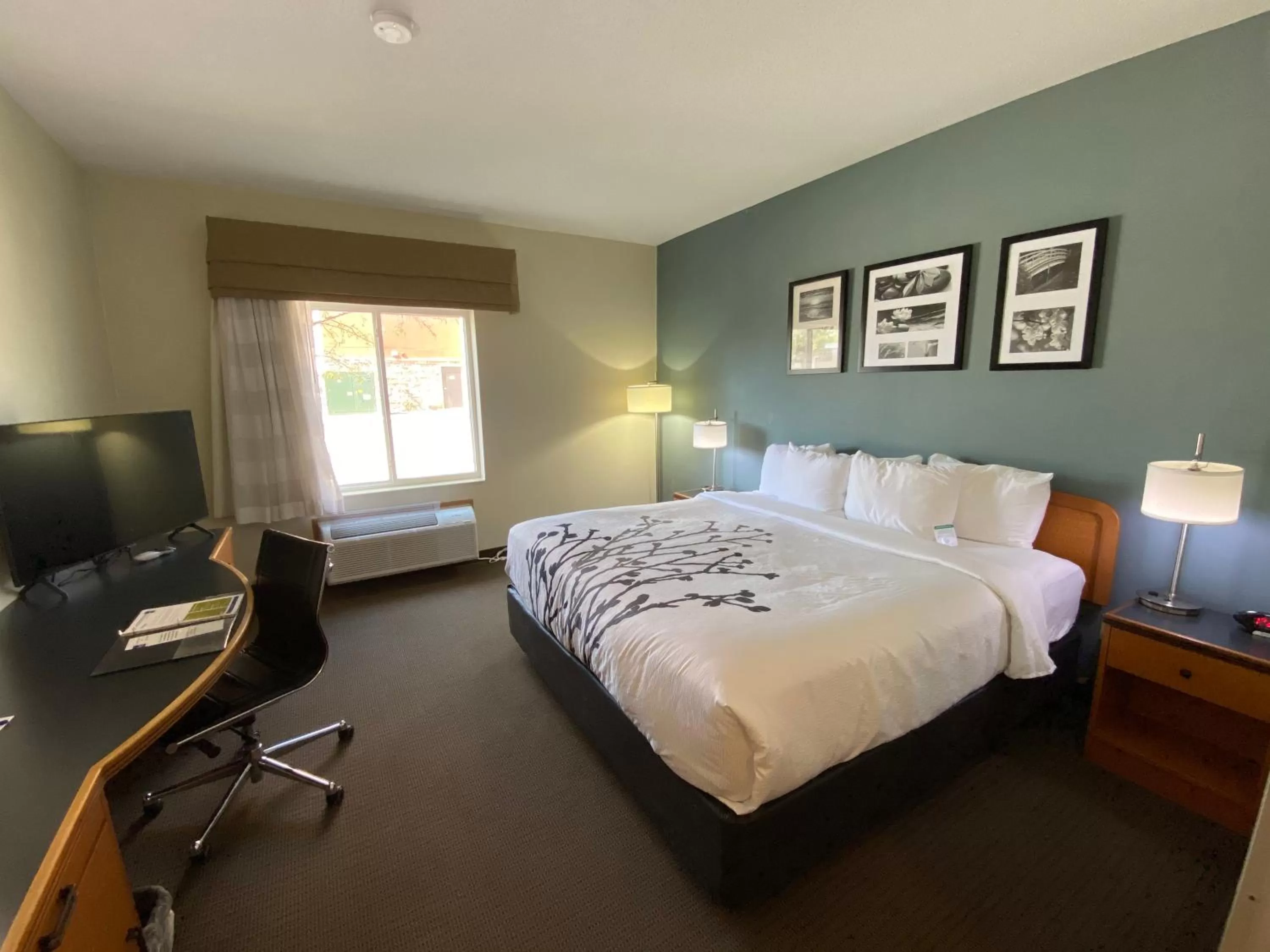 King Suite - Non-Smoking in Sleep Inn & Suites Davenport - Quad Cities
