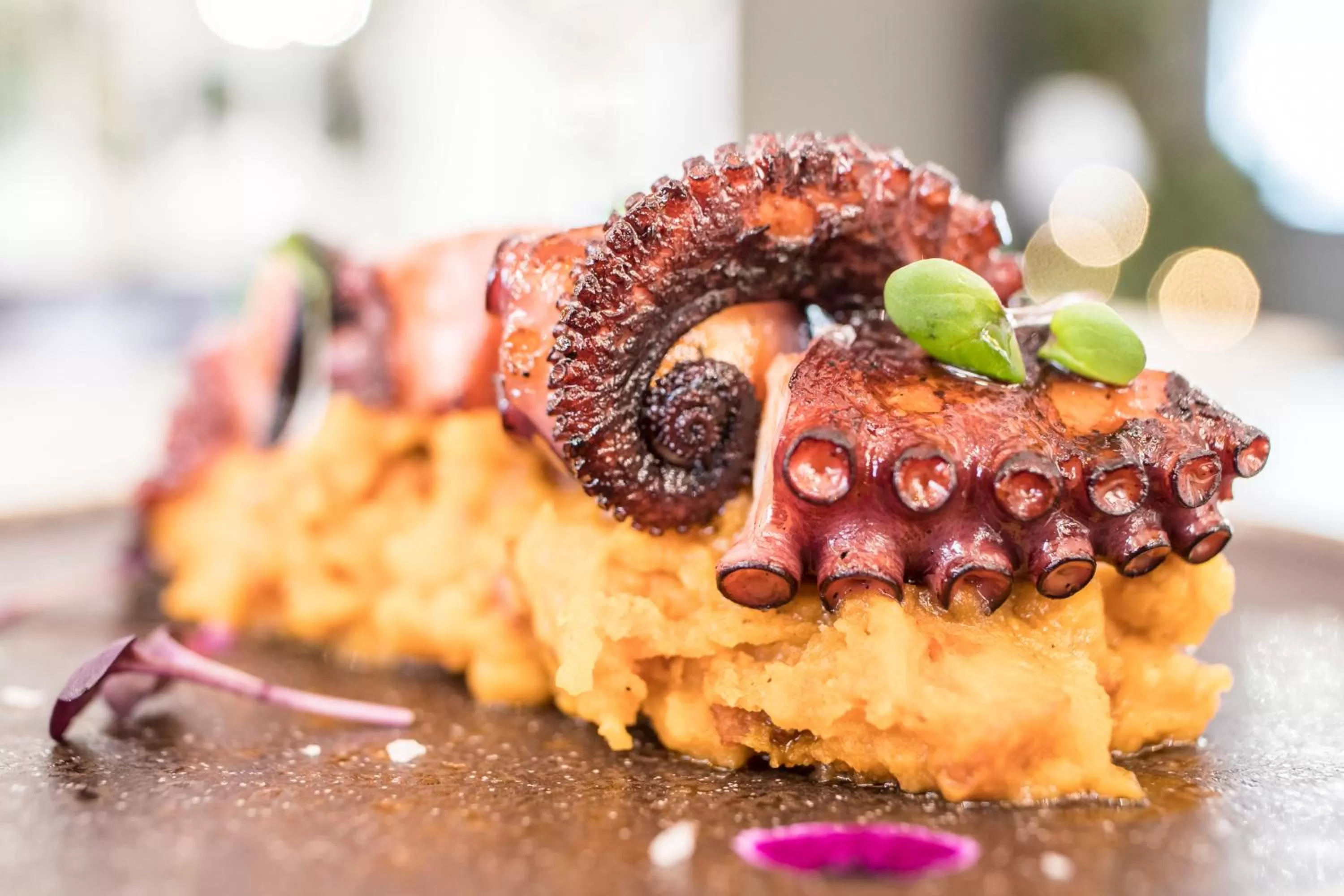 Food in Clement Barajas