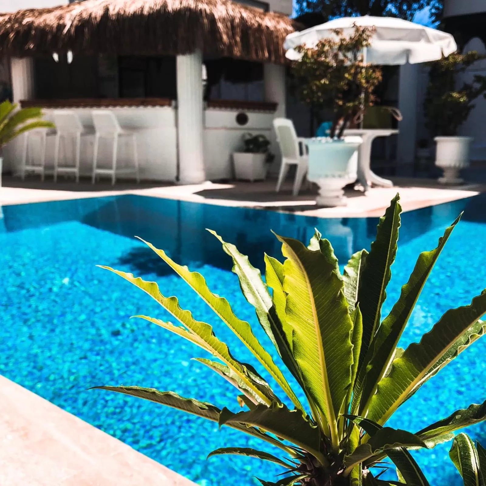 Swimming pool in Conny's Hotel (Adult Only) +18