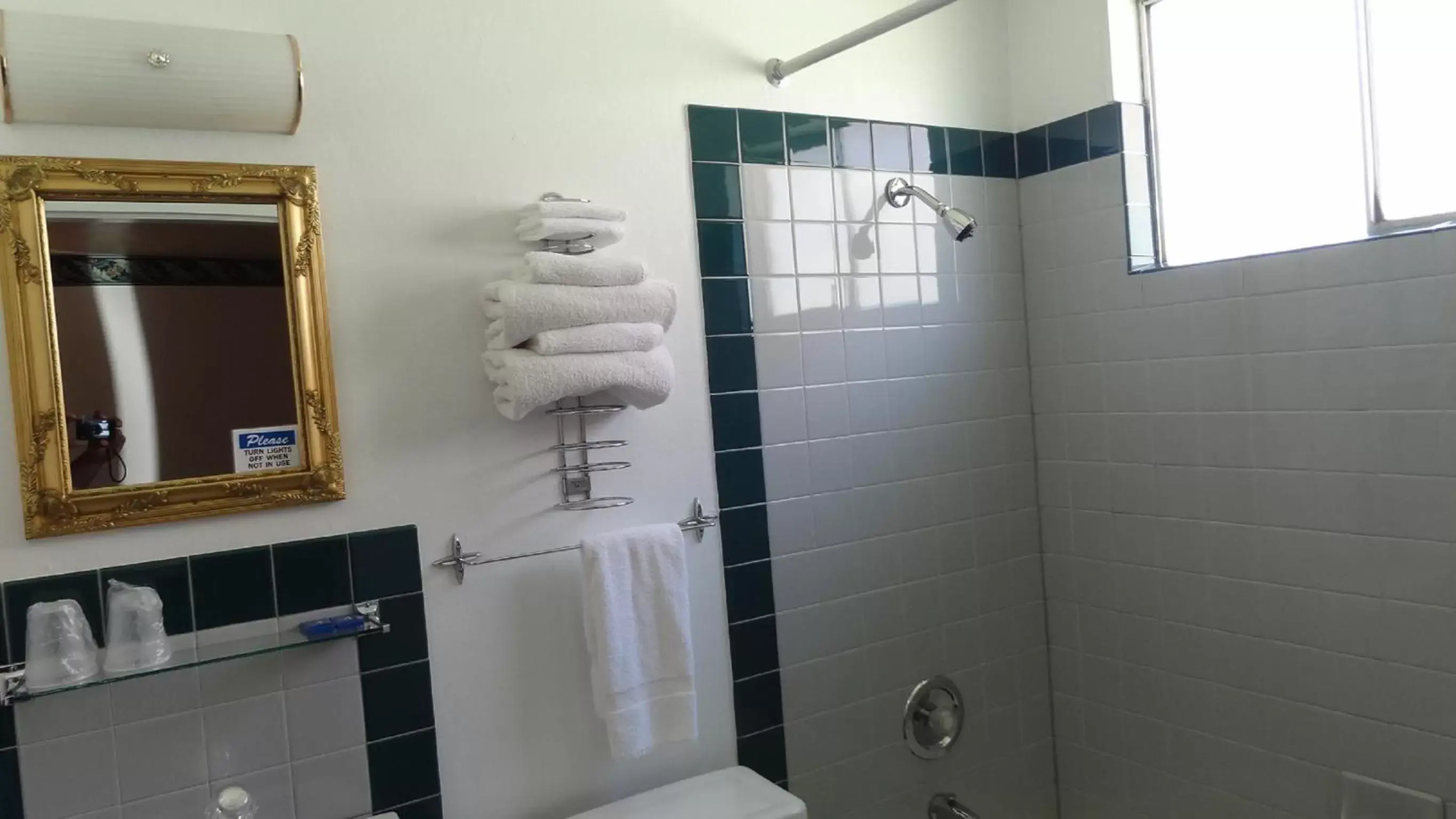 Shower, Bathroom in Galaxie Motel