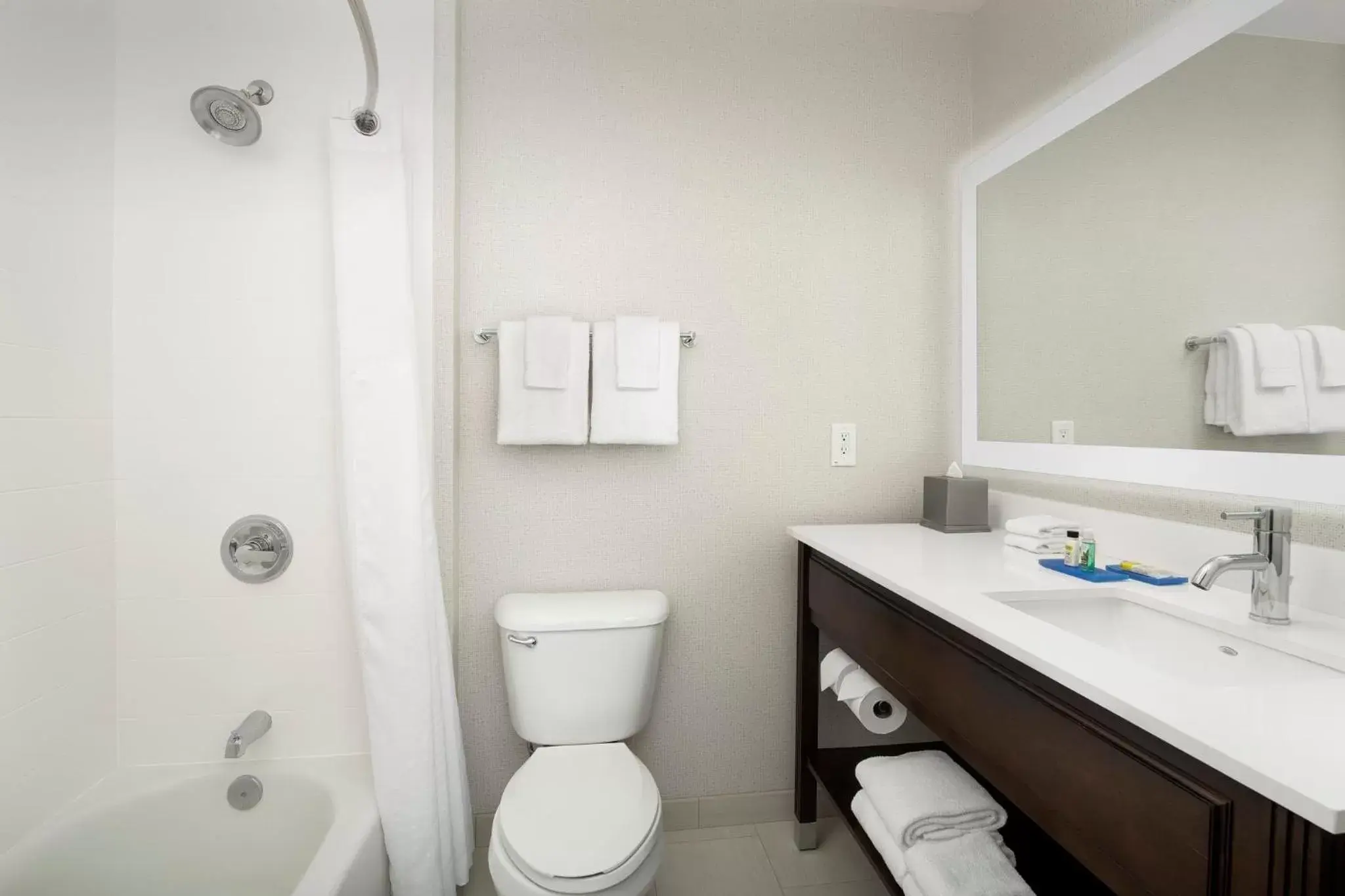 Photo of the whole room, Bathroom in Holiday Inn Express Puyallup, an IHG Hotel