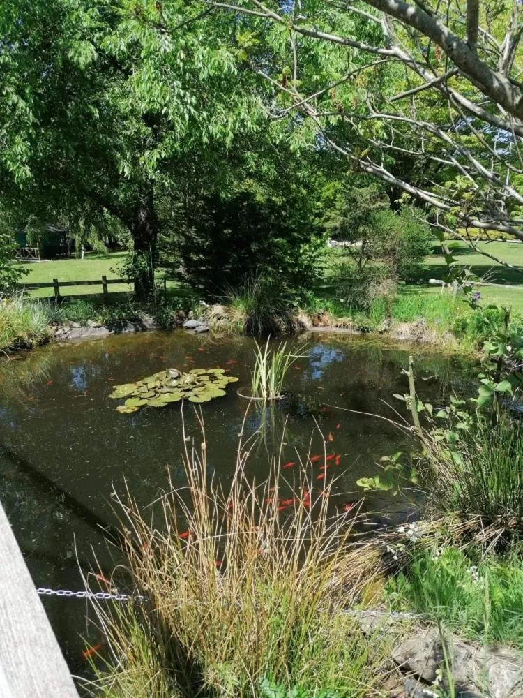 Garden in A l'Orée du Parc