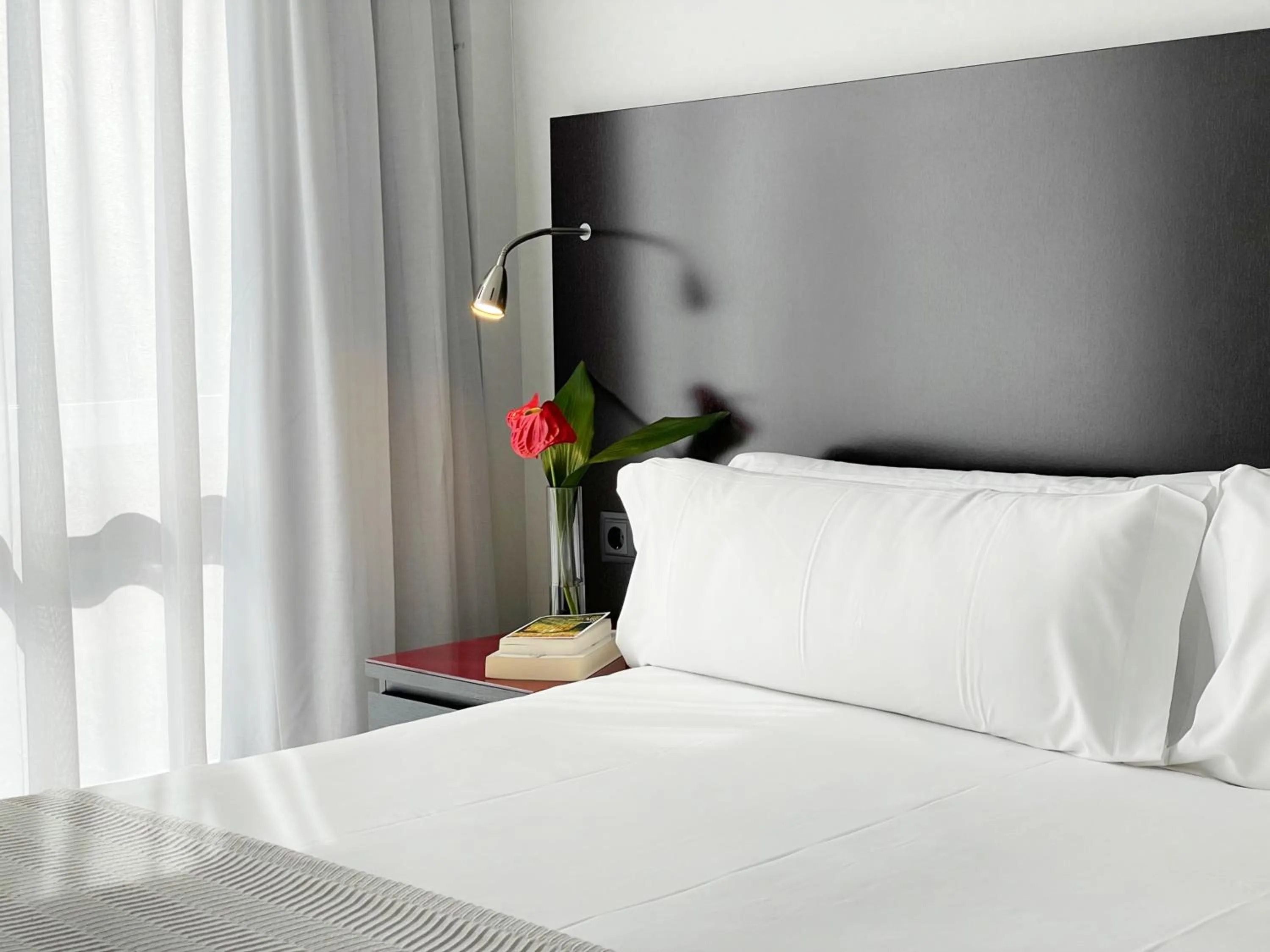 SM Hotel Sant Antoni