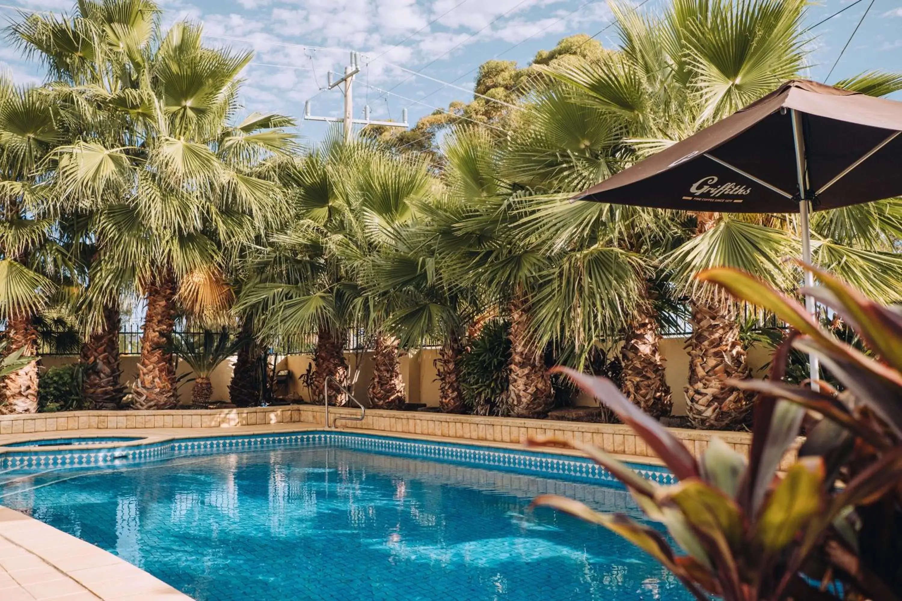 Pool view, Swimming Pool in Best Western Chaffey Motor Inn