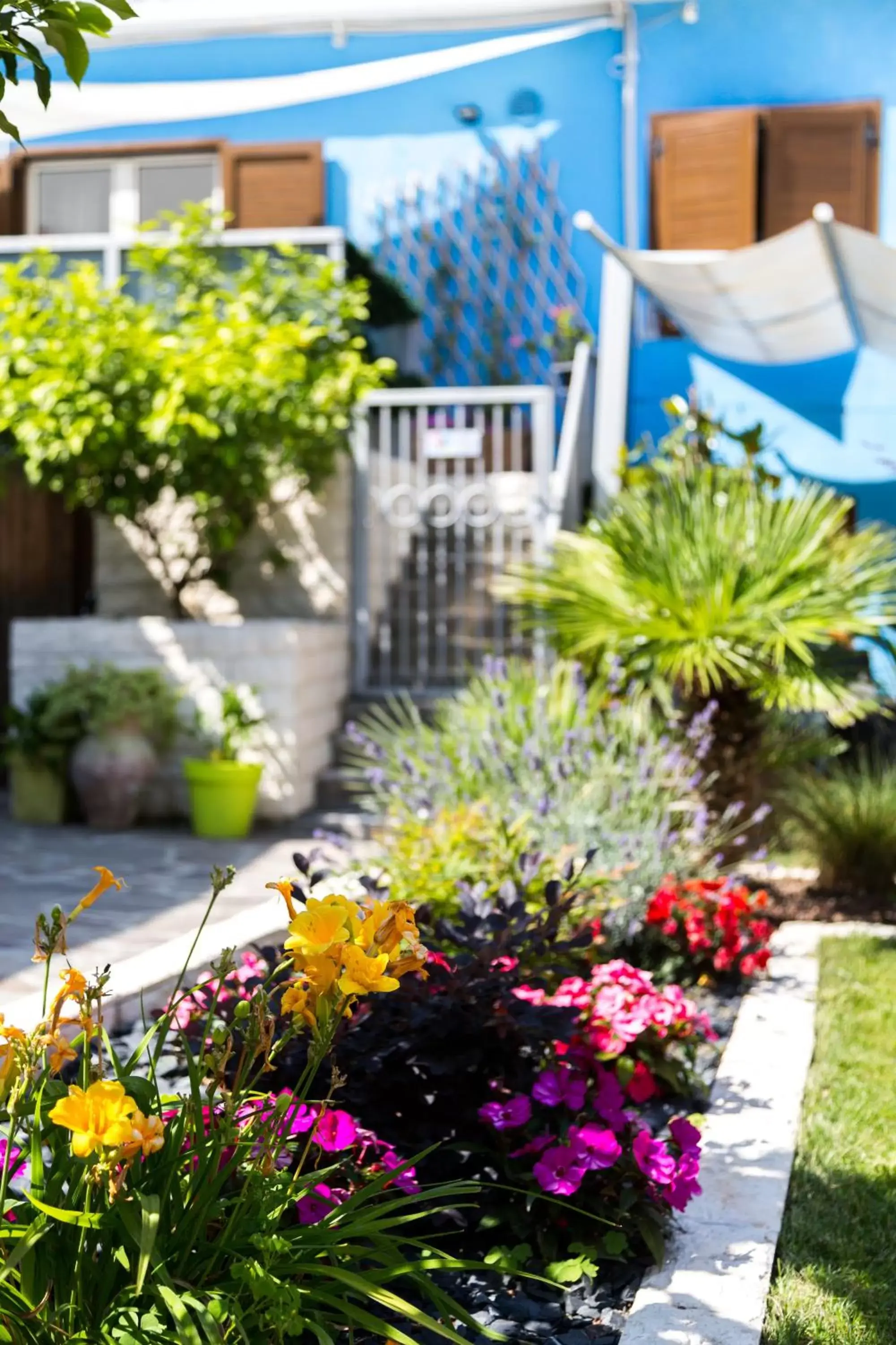 Garden in Hotel Canarino