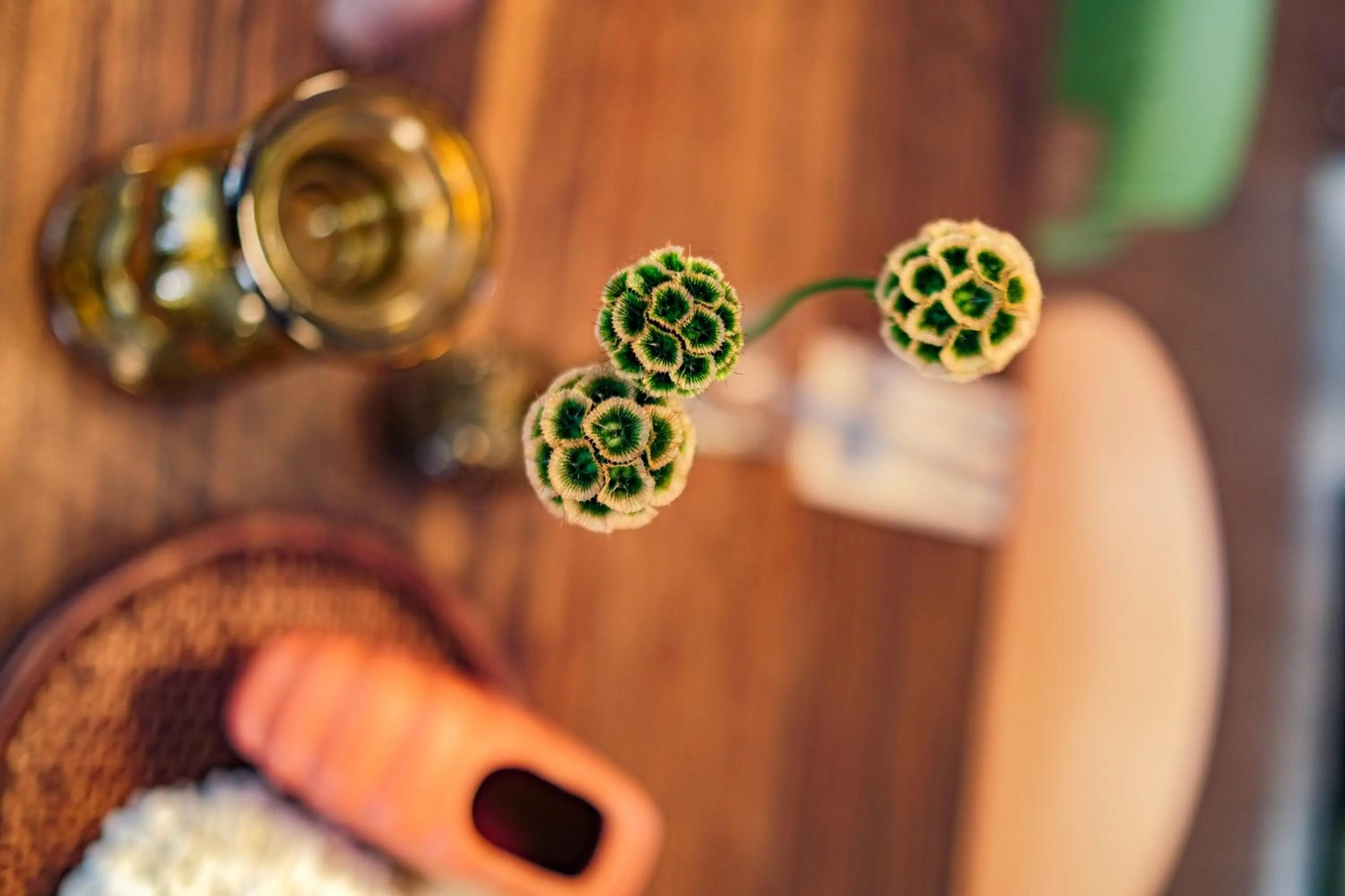 Decorative detail in Live Hotels Bordeaux Lac