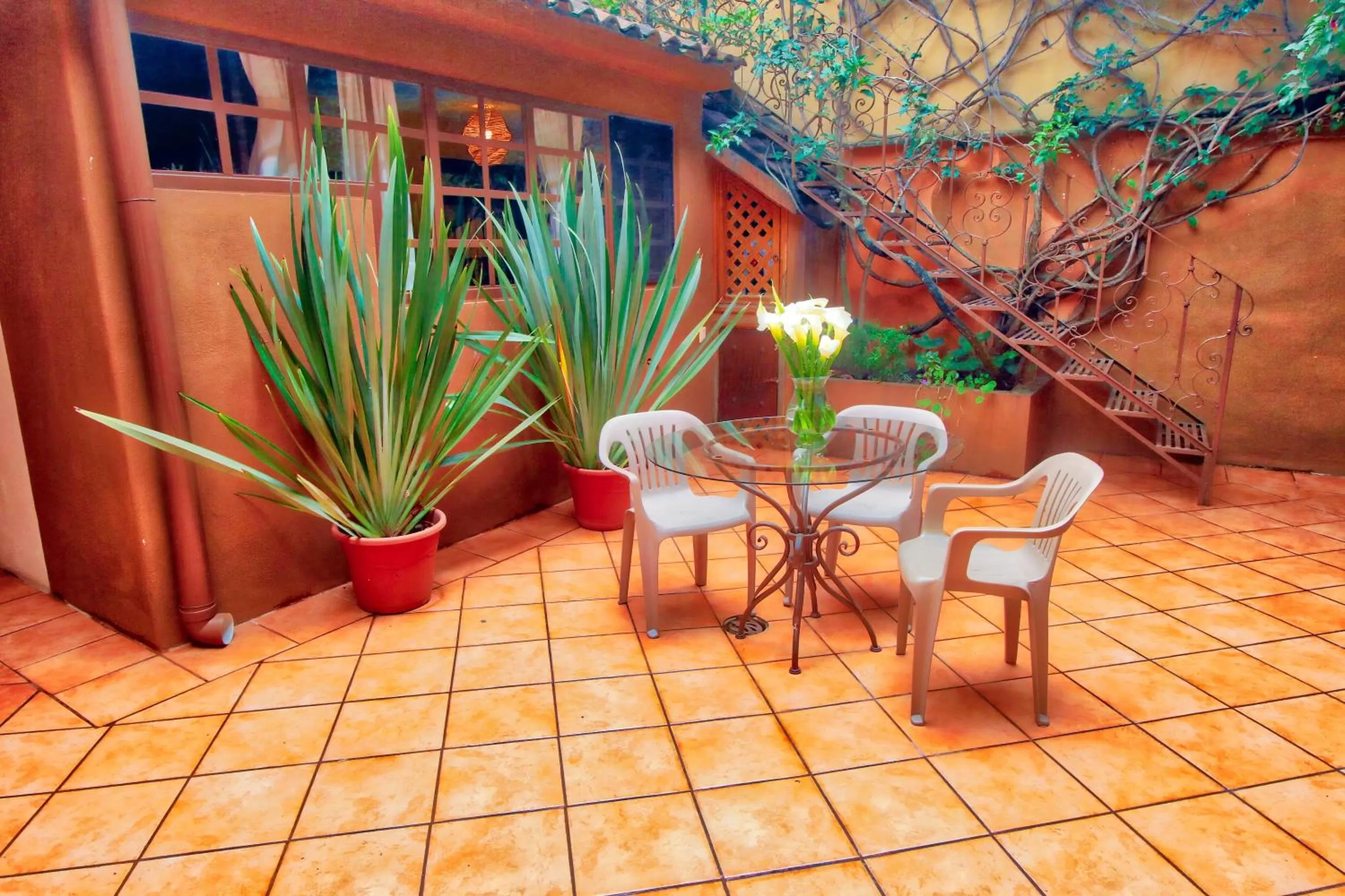 Balcony/Terrace in Hotel Casa Encantada
