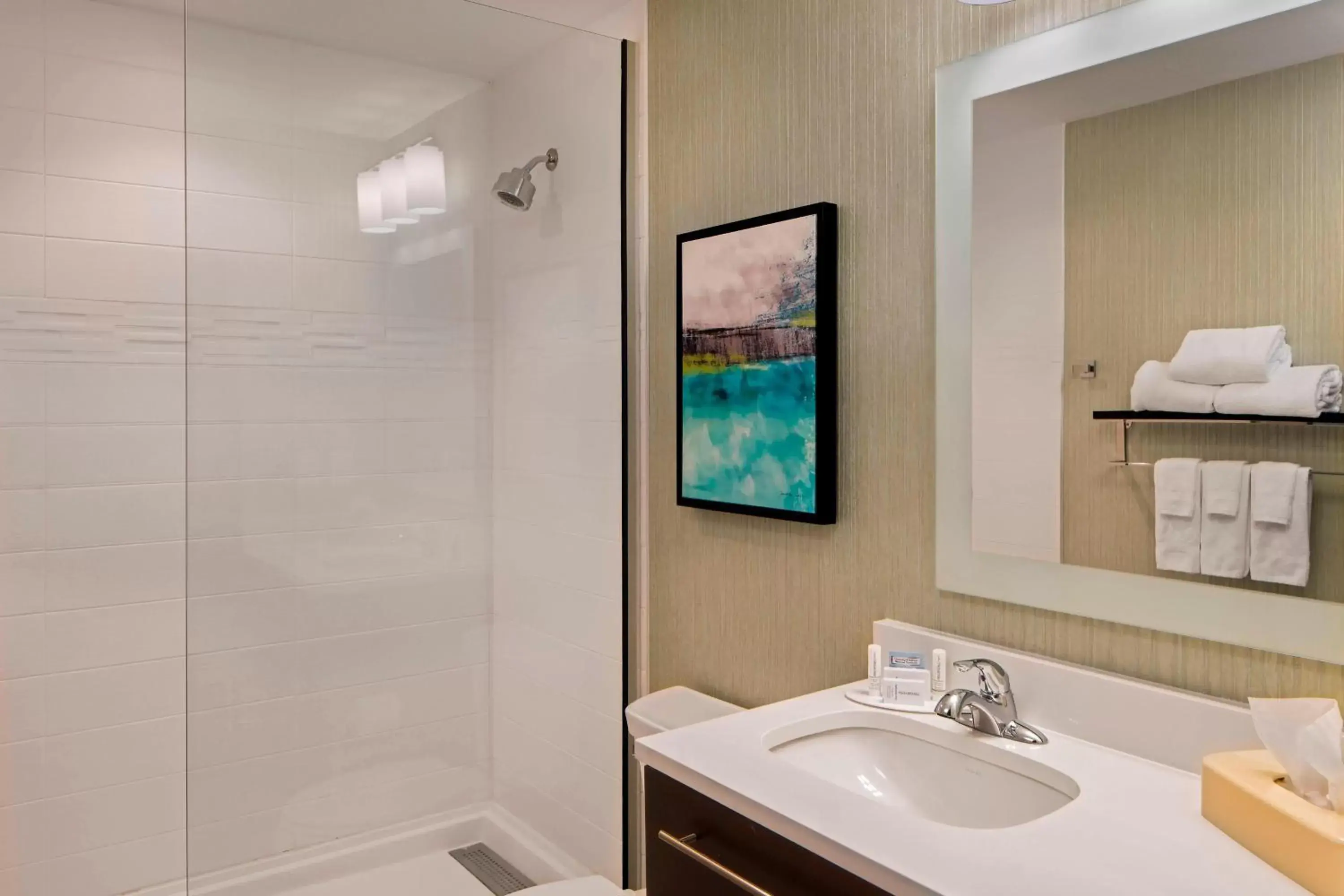 Bathroom in TownePlace Suites by Marriott Foley at OWA