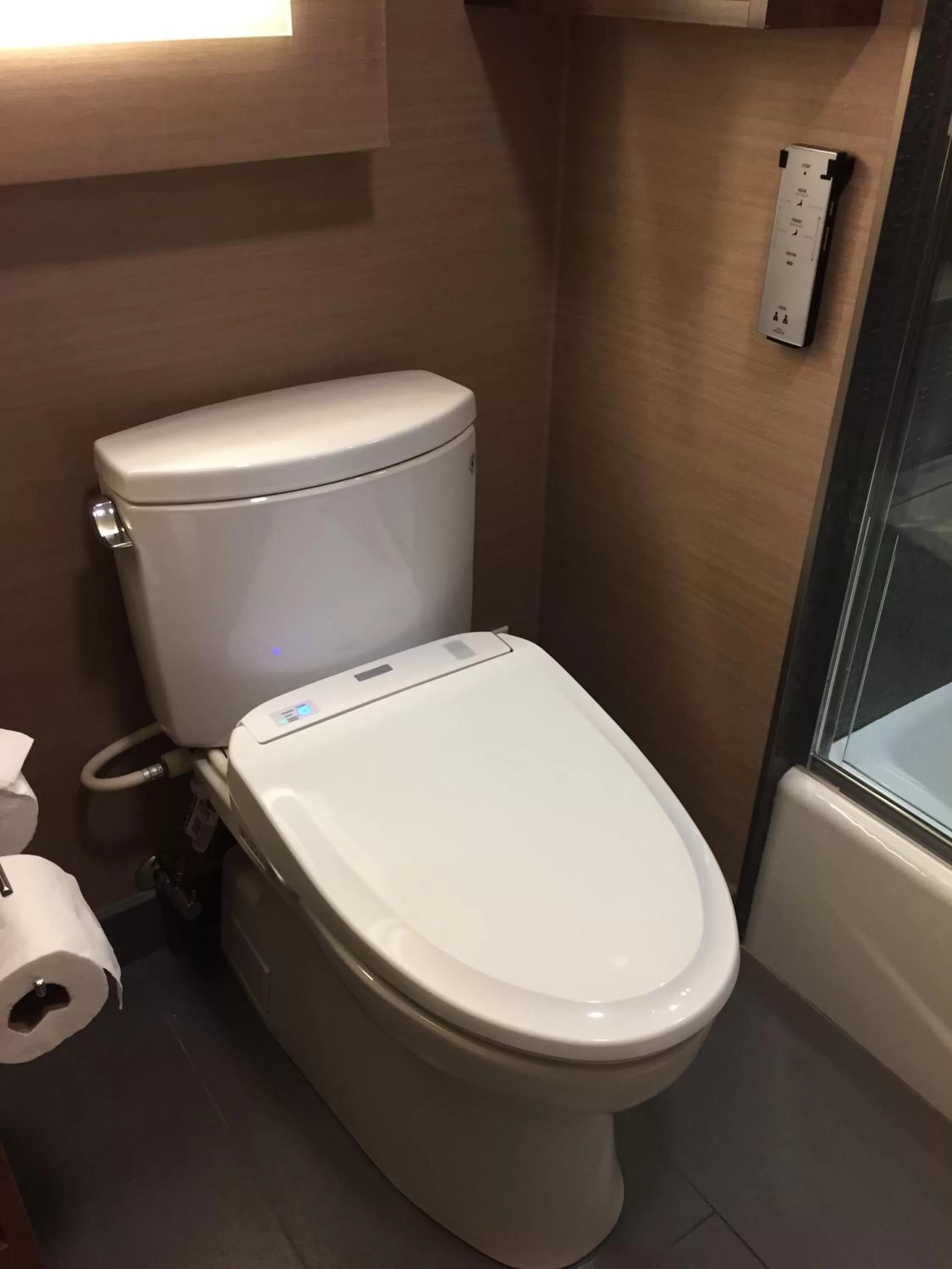 Toilet in Hotel Strata