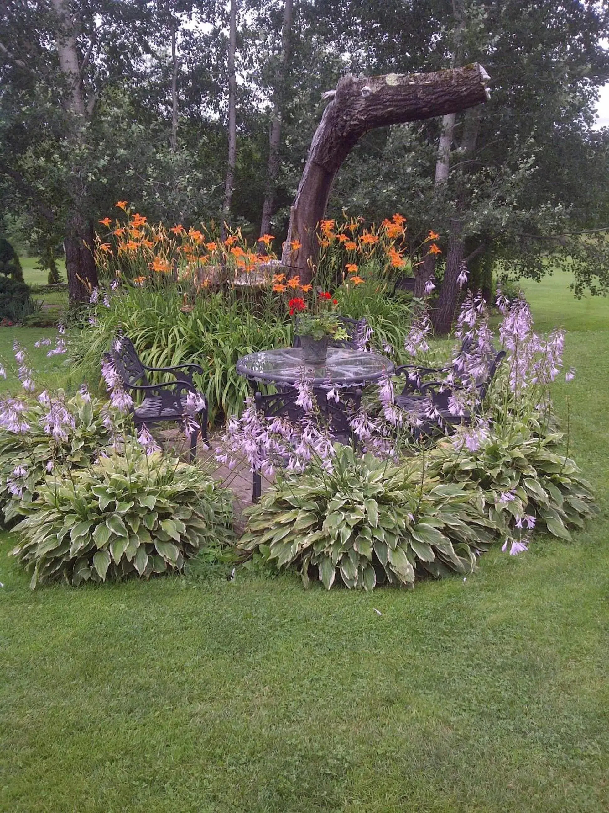 Garden in Briarwood Bed & Breakfast