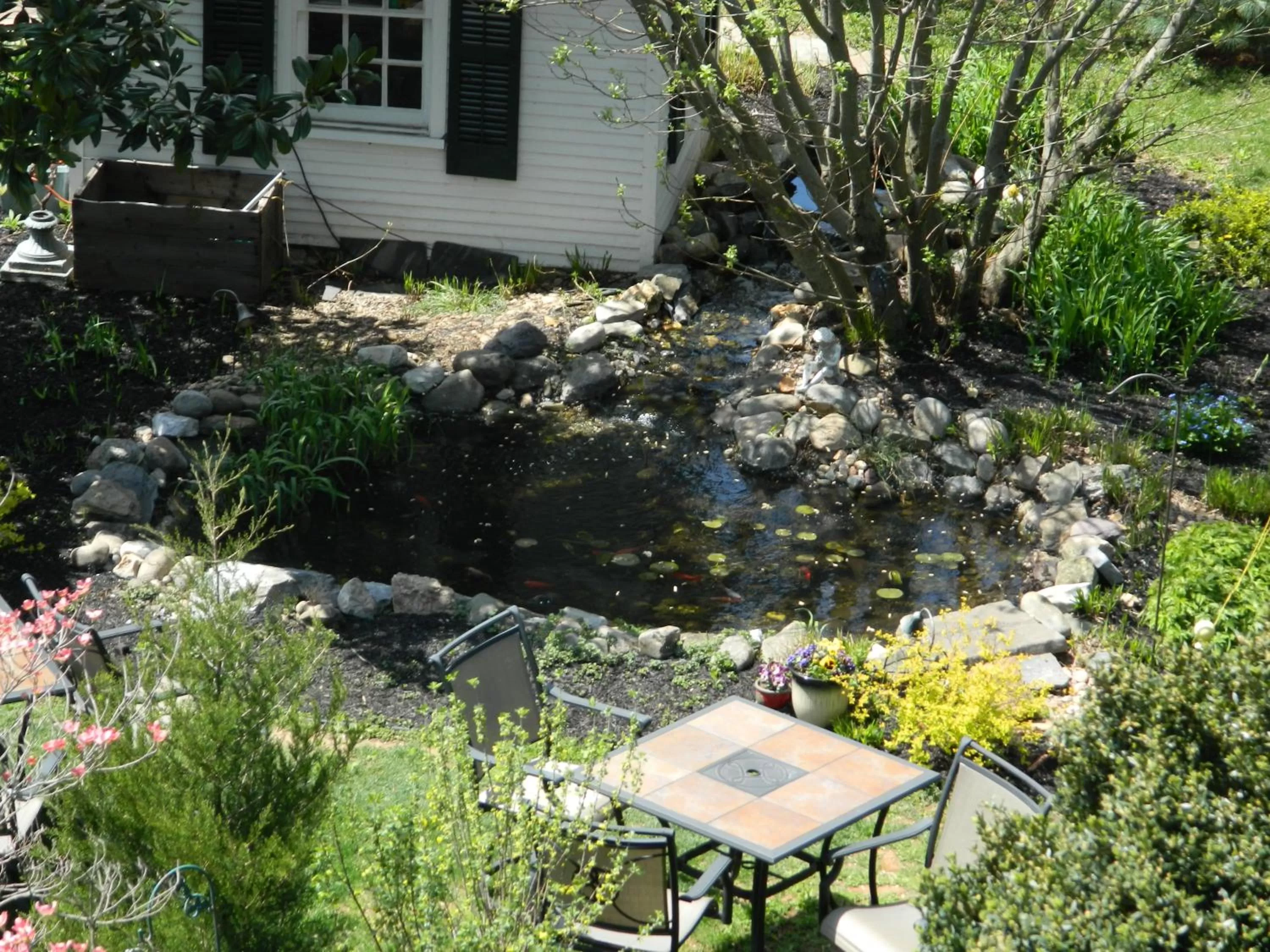 Garden, Patio/Outdoor Area in EJ Bowman House Bed & Breakfast