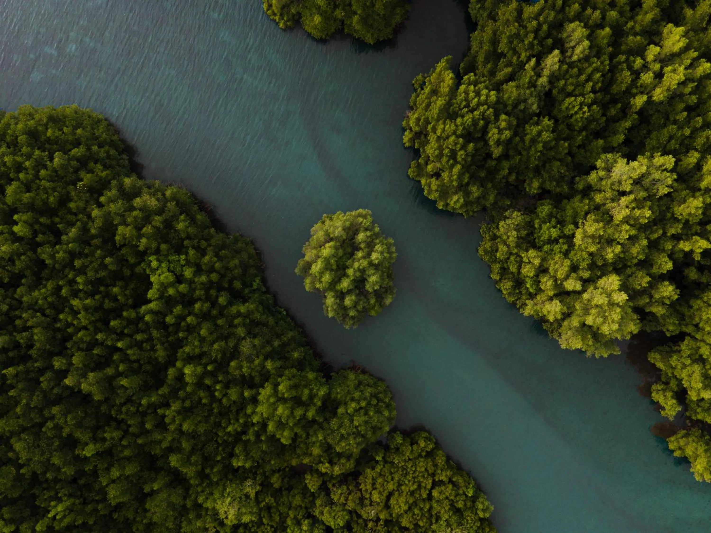 Natural landscape in Menjaga Bay