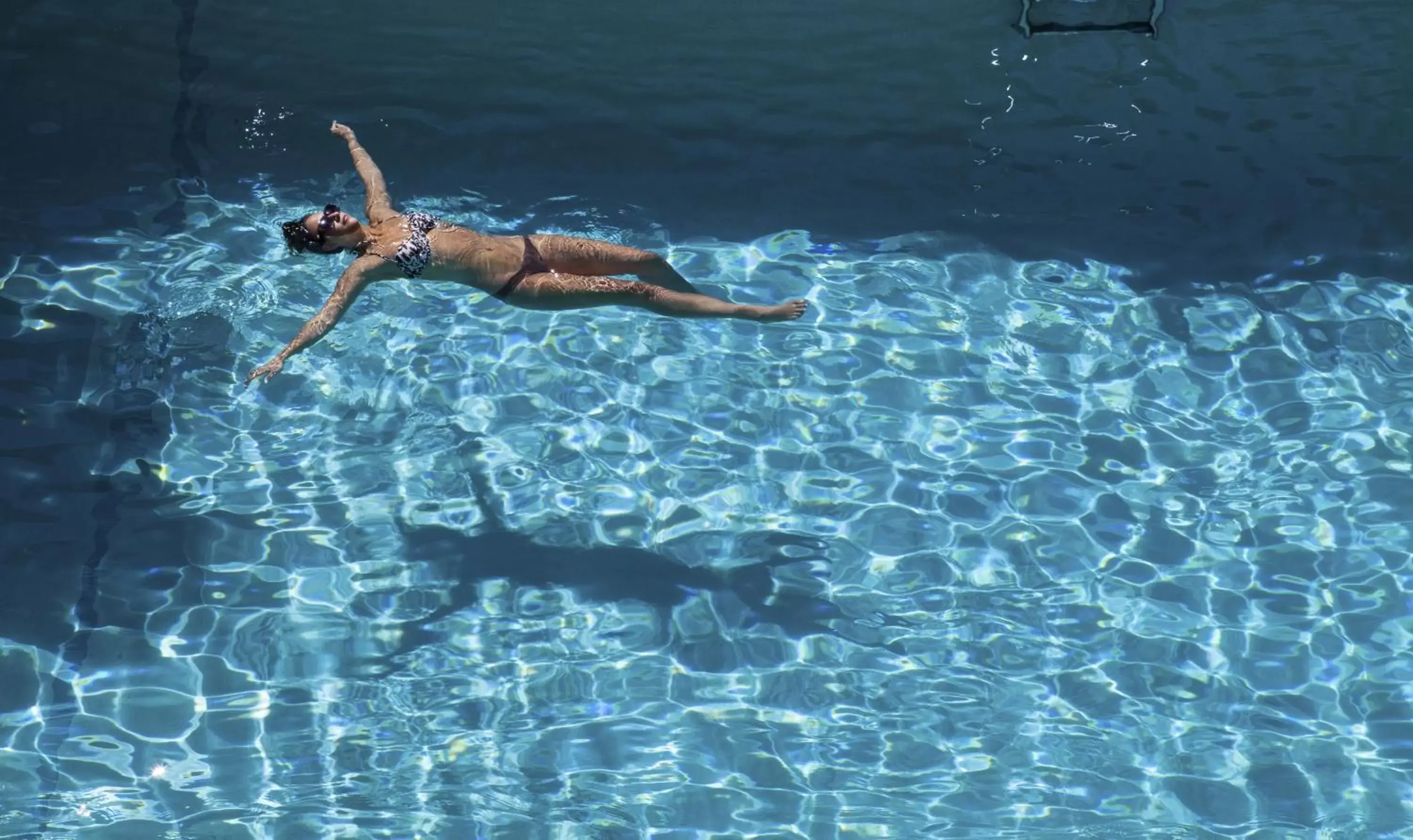 Swimming pool, Other Animals in Southernmost Inn Adult Exclusive