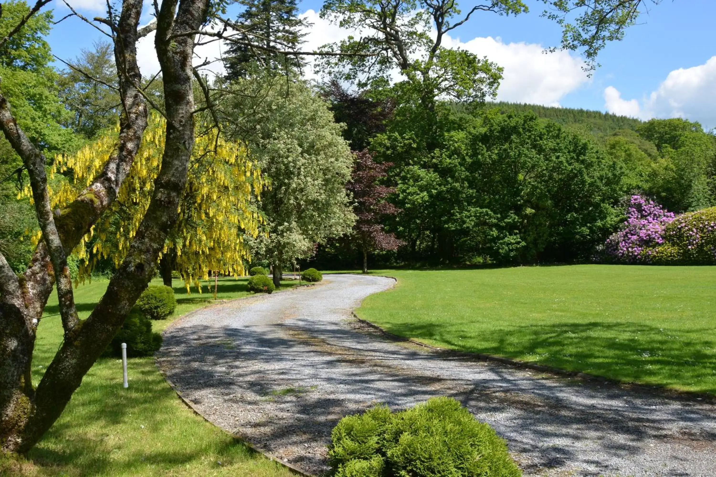 Garden in Glangwili Mansion - Luxury 5 star Bed & Breakfast