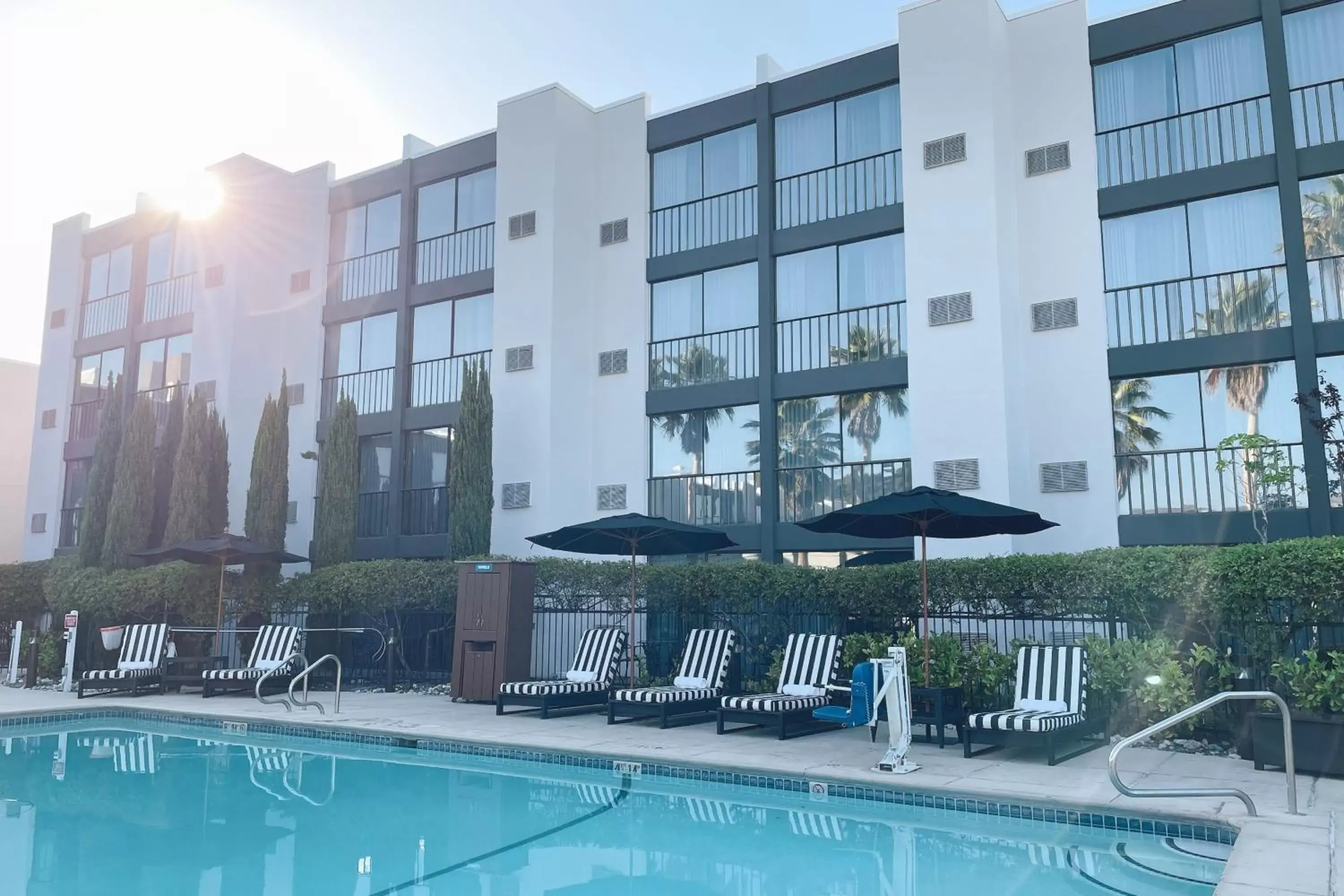 Swimming pool, Property Building in Four Points by Sheraton San Rafael Marin County