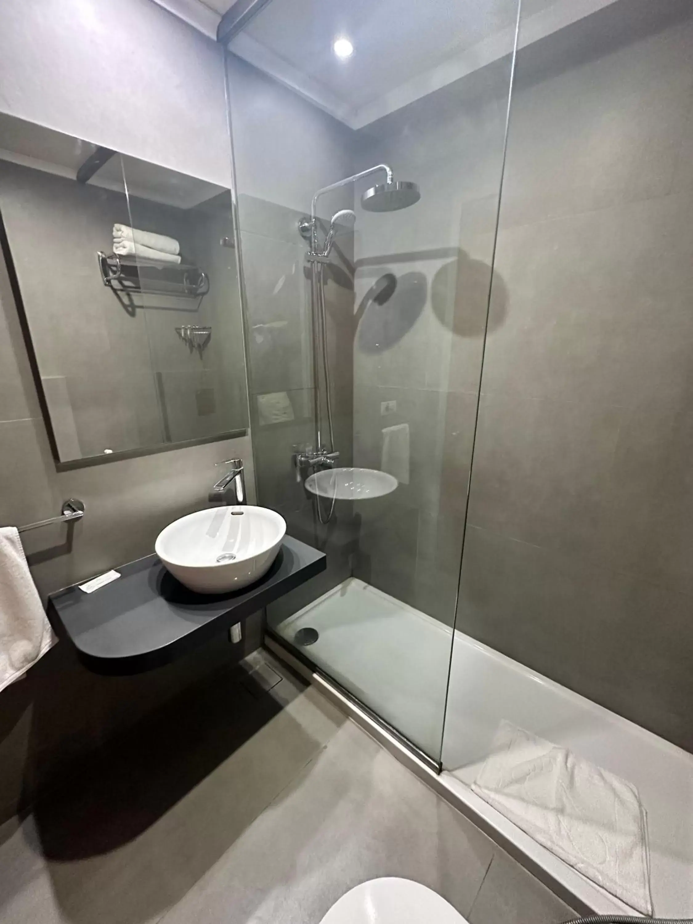 Shower, Bathroom in Padova Hotel