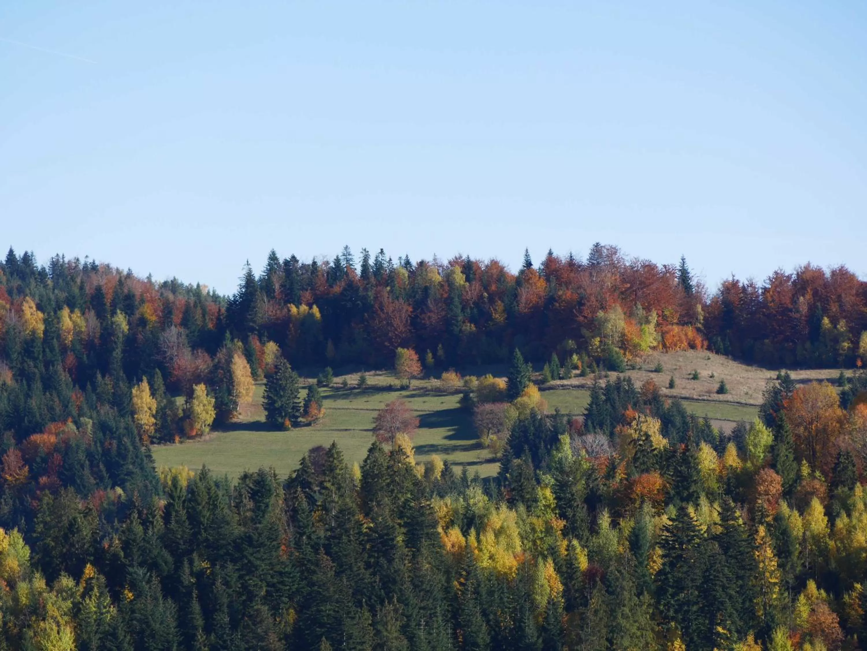 Autumn in Hotel Żywiecki Medical SPA & Sport Żywiec