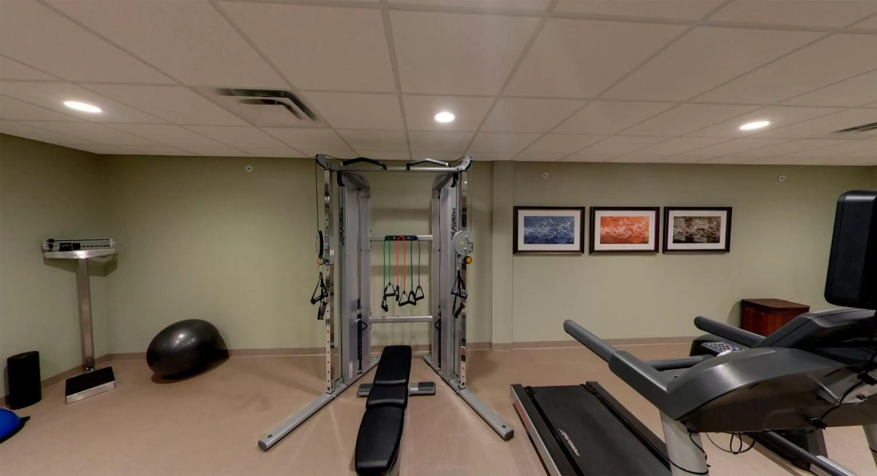 Fitness centre/facilities, Fitness Center/Facilities in Staybridge Suites Ann Arbor - Research Parkway, an IHG Hotel