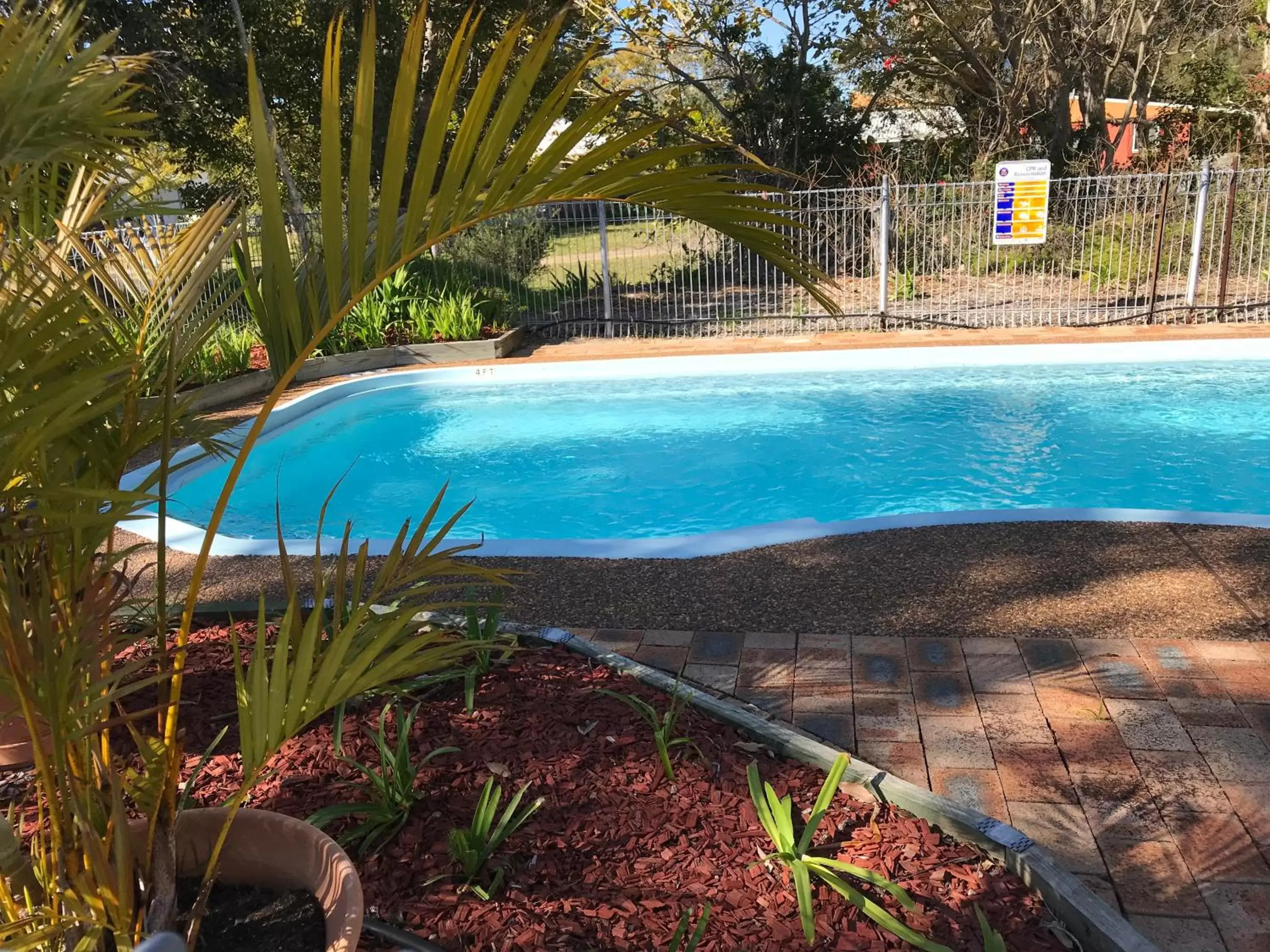 Pool view, Swimming Pool in Tea Gardens Motel